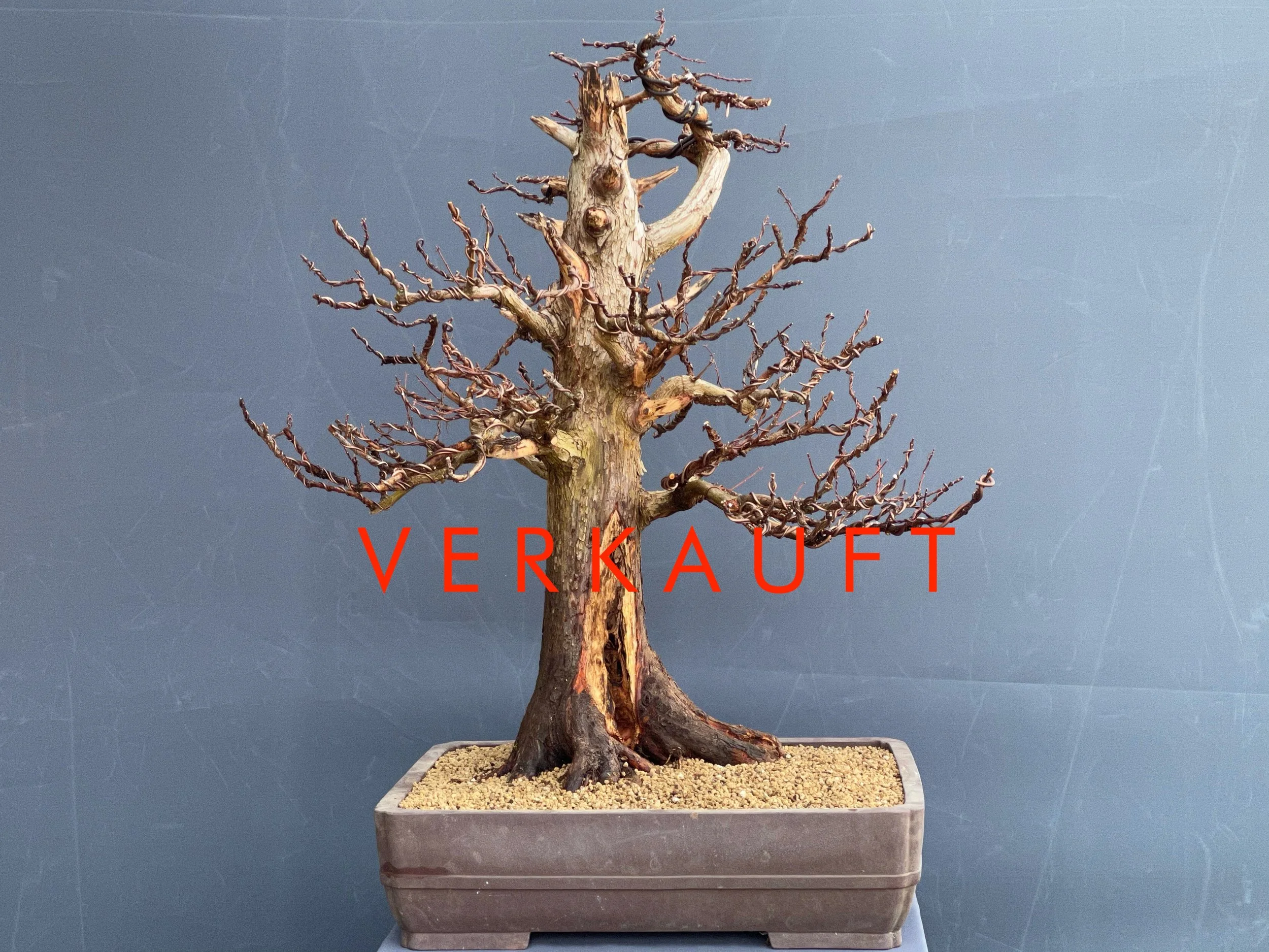 IMG_0715D verkauft.JPG