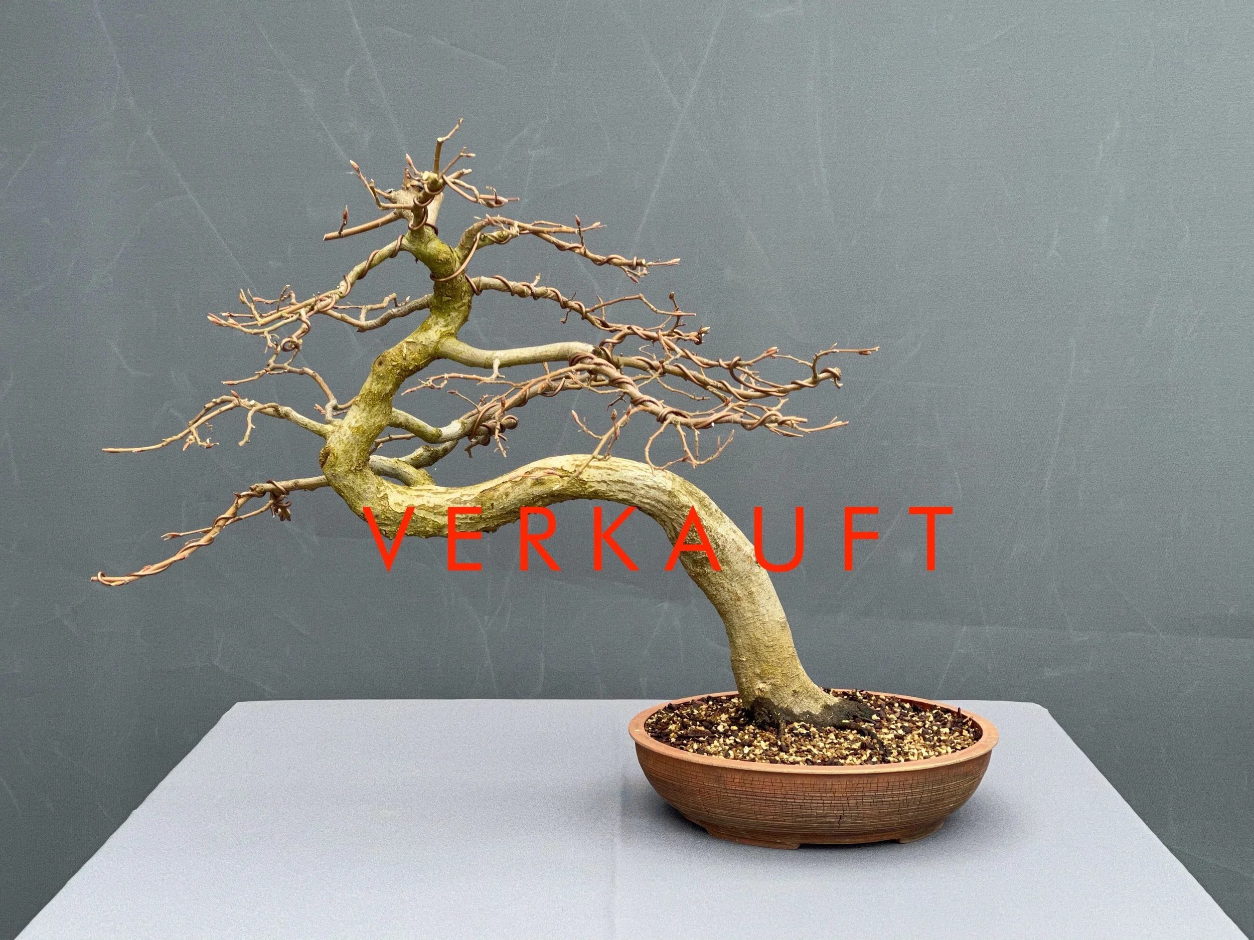 IMG_0774D verkauft.JPG