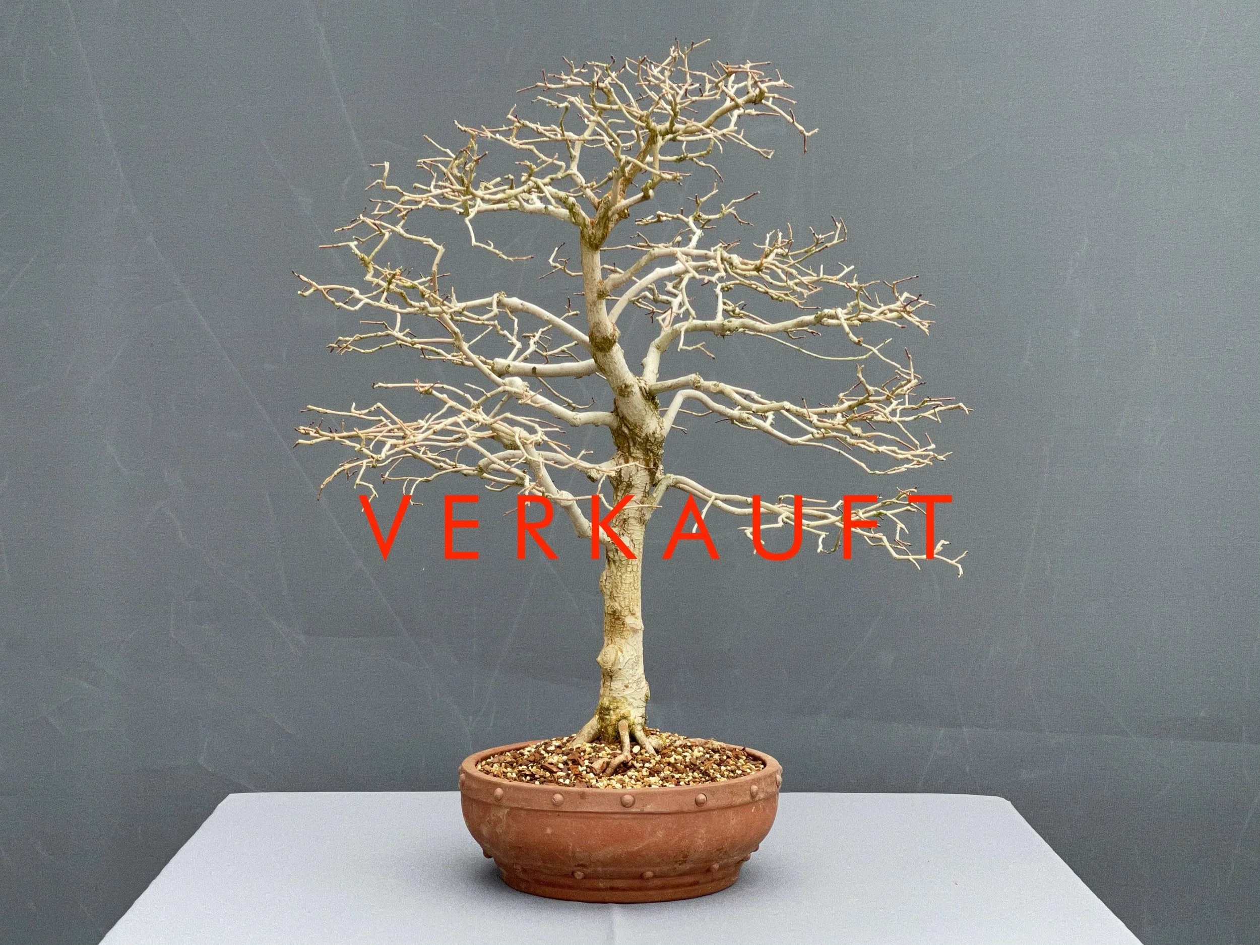 IMG_0792D verkauft.JPG