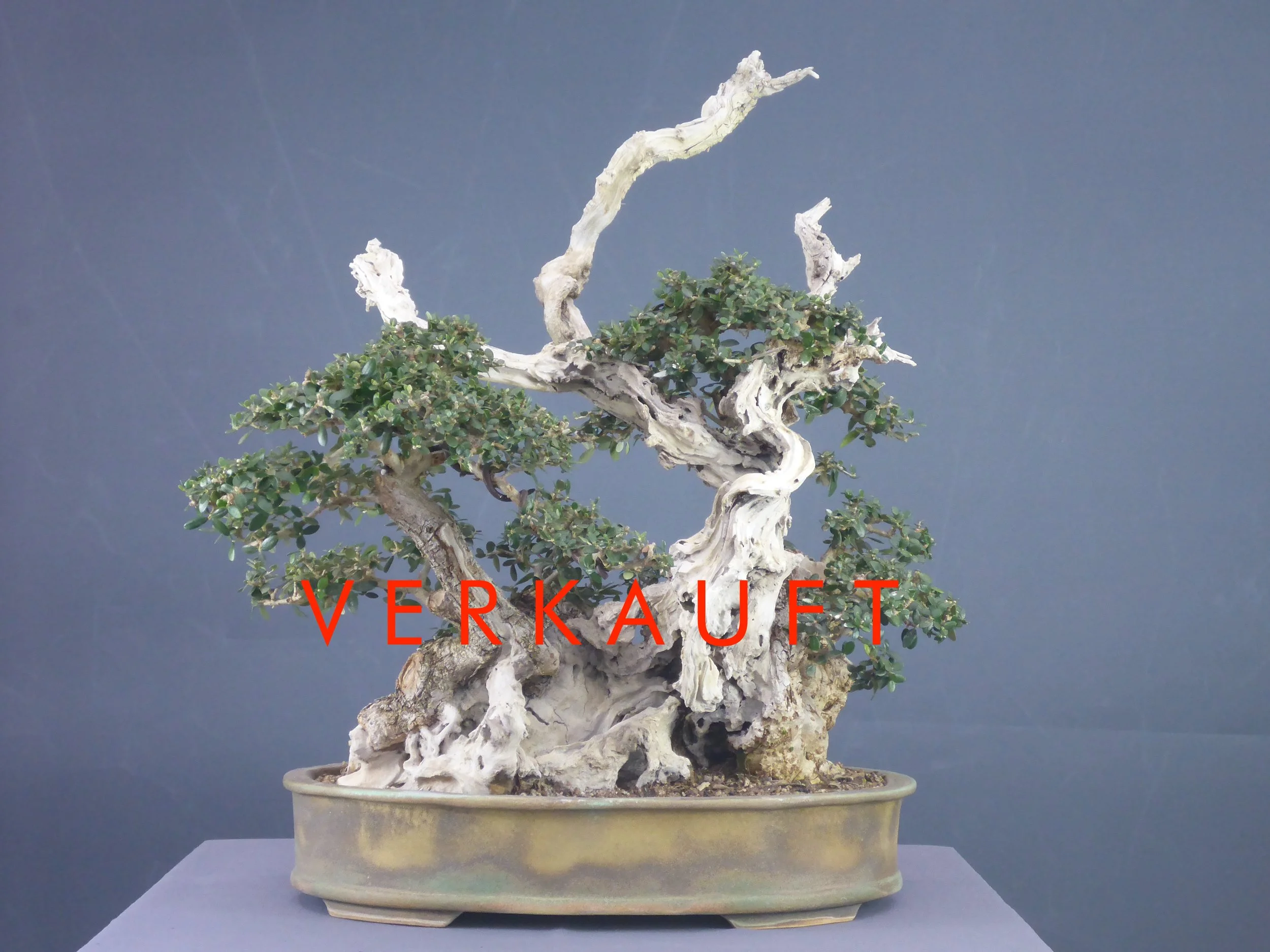 P1060141 verkauft.JPG