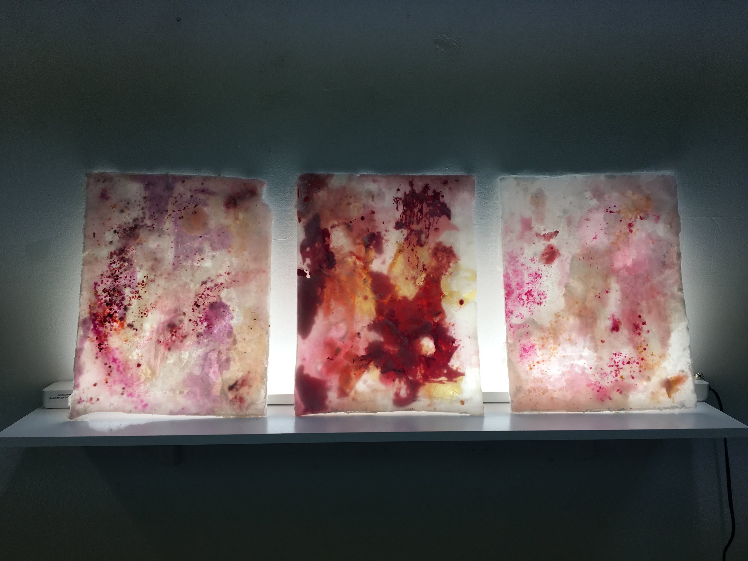 study in wax and plastic