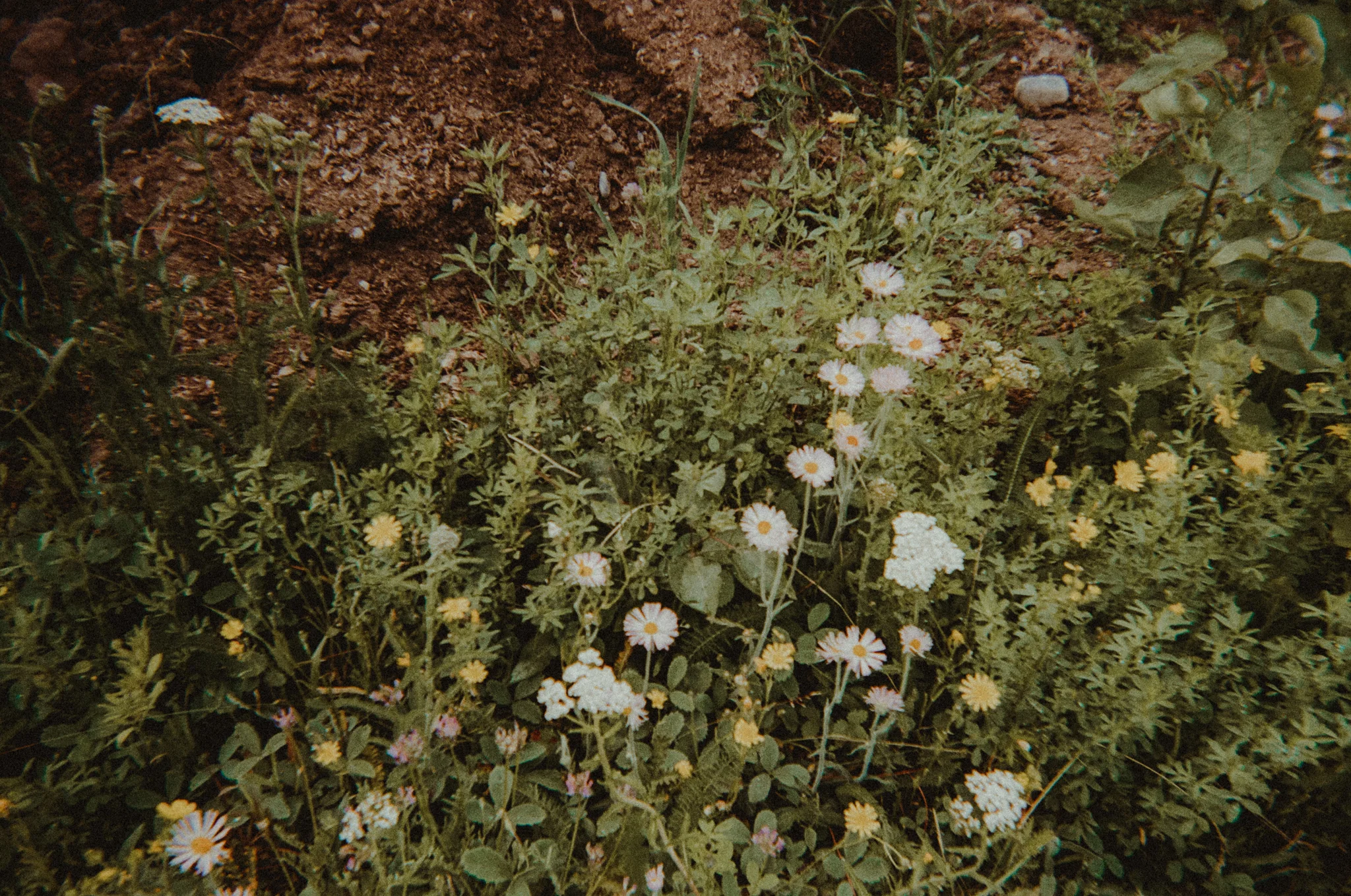 photo.aspx-8.jpg