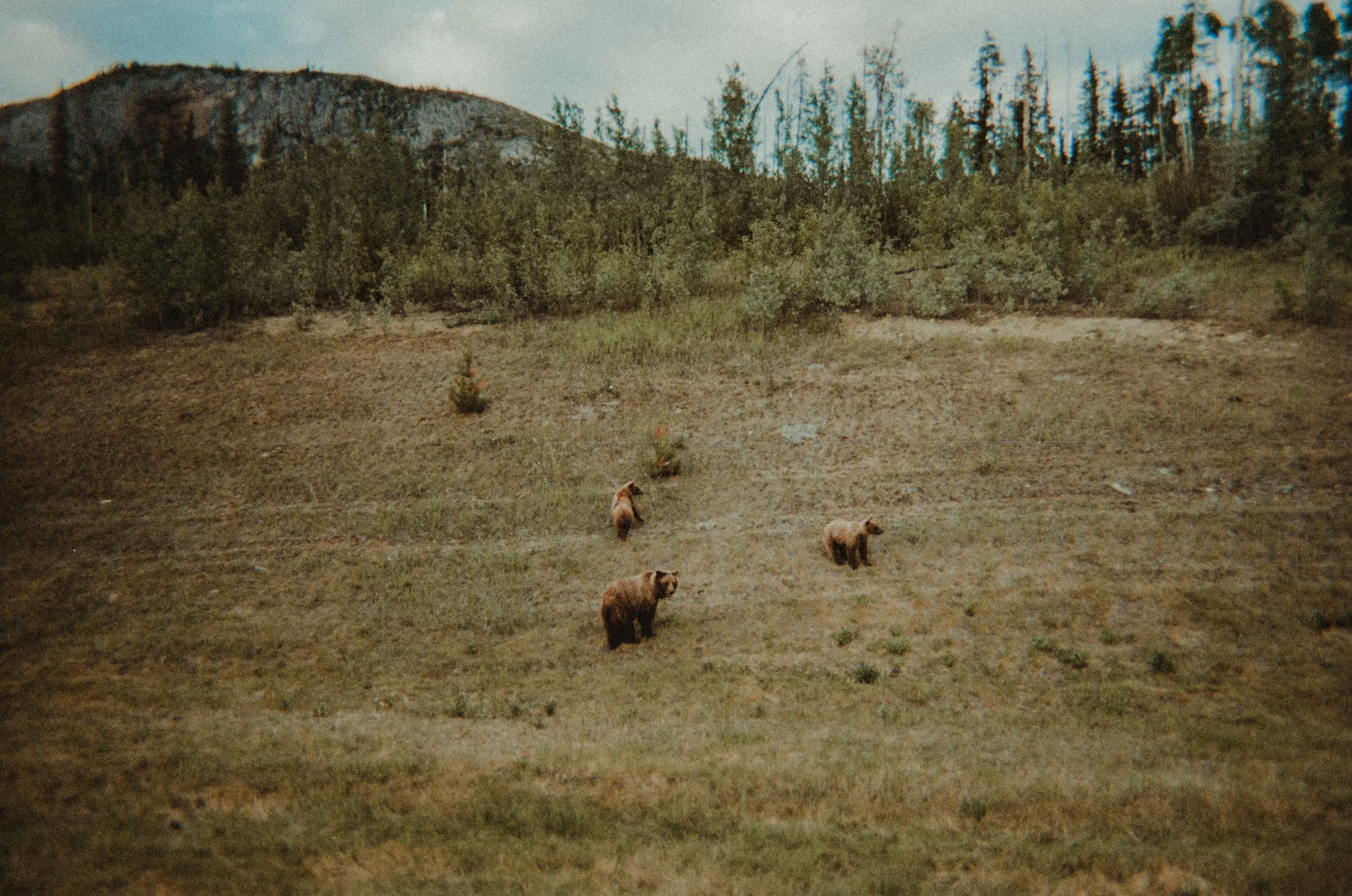 photo.aspx-60.jpg
