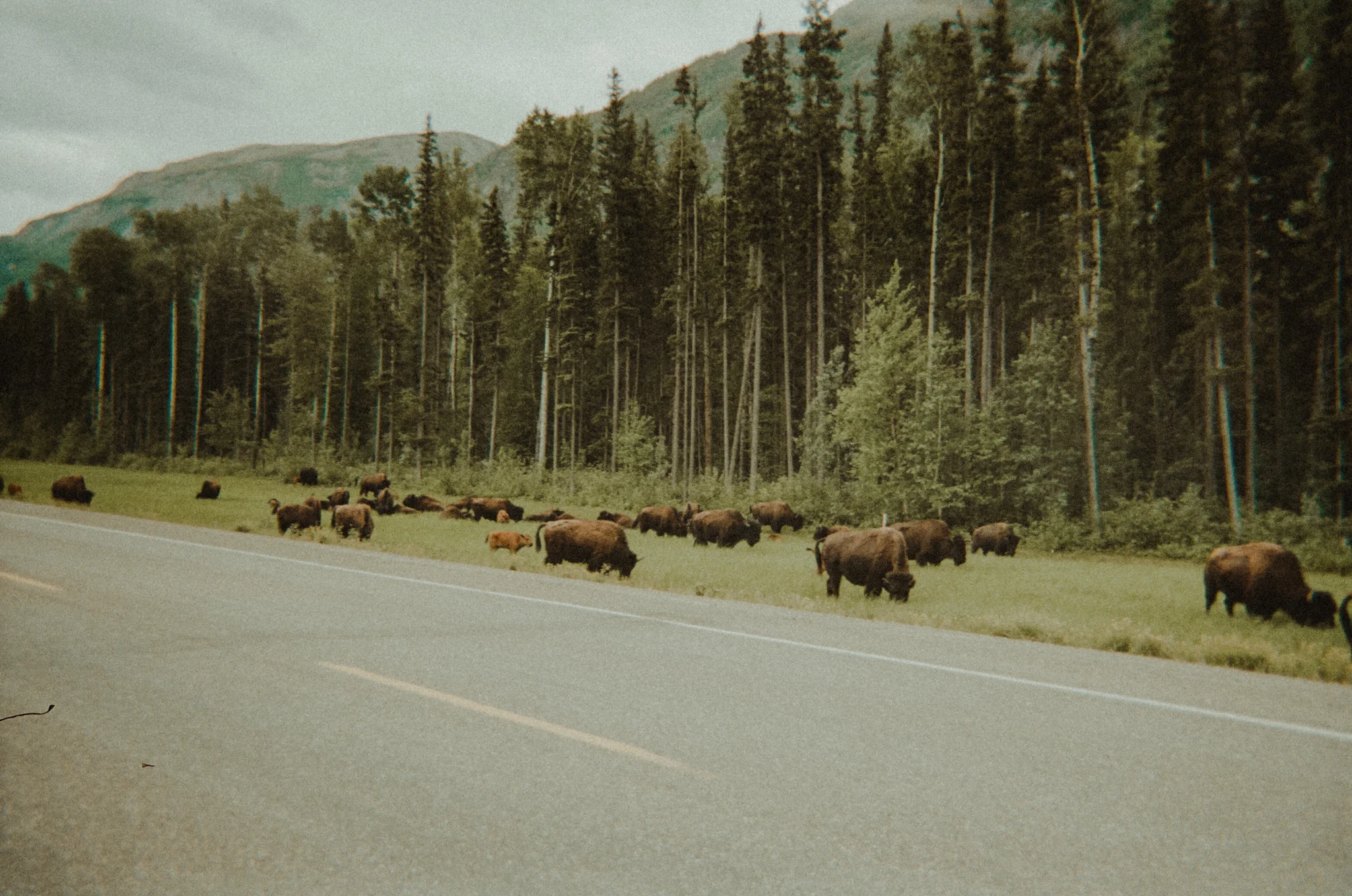 photo.aspx-61.jpg
