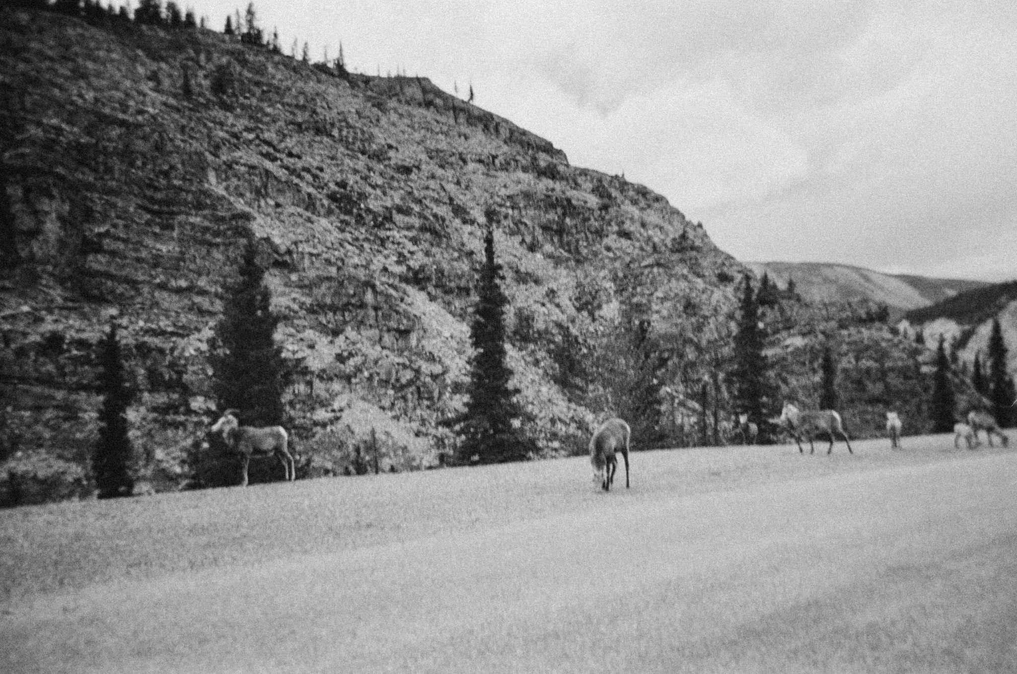 photo.aspx-67.jpg