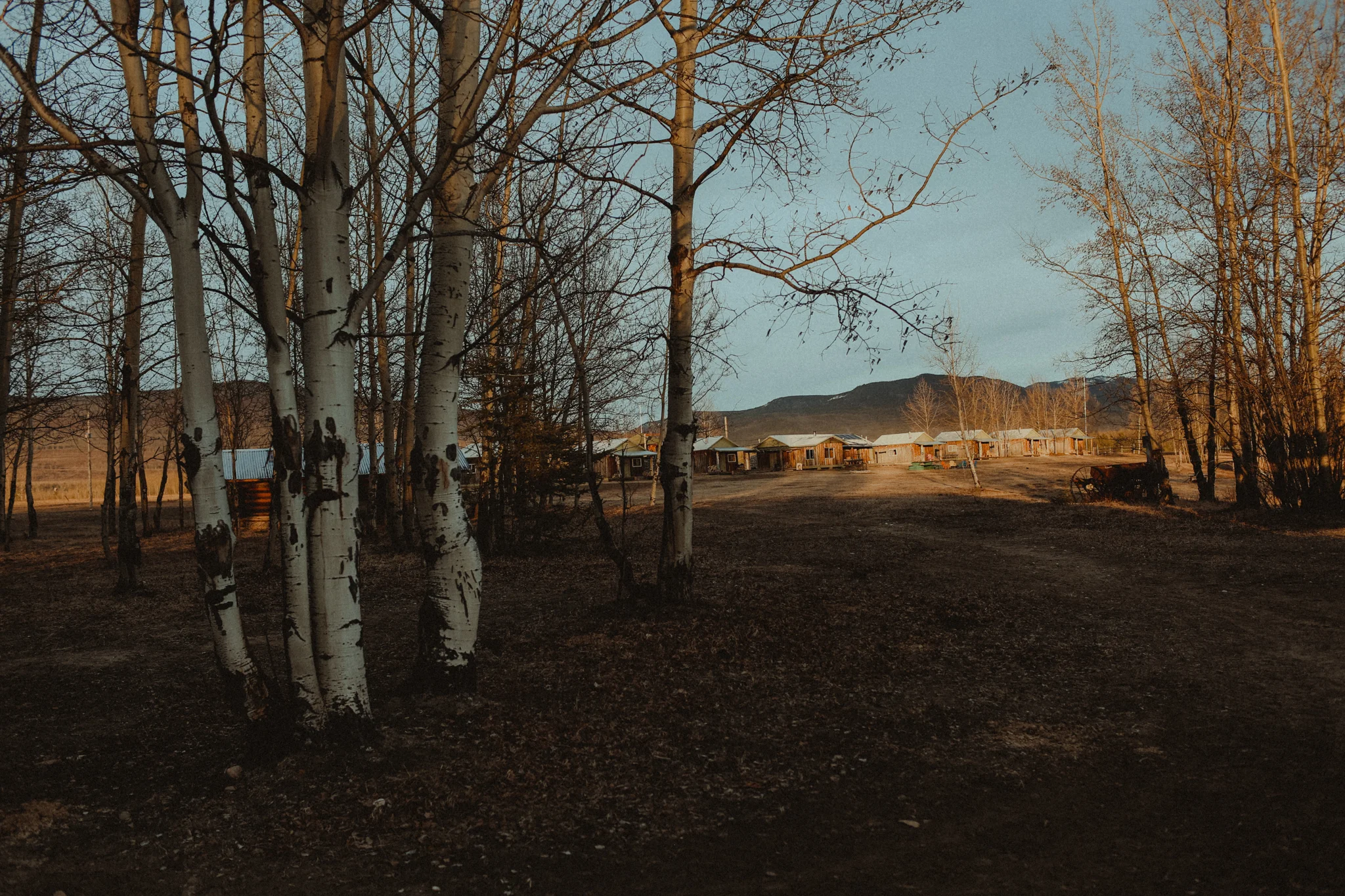 0J9A4072.jpg