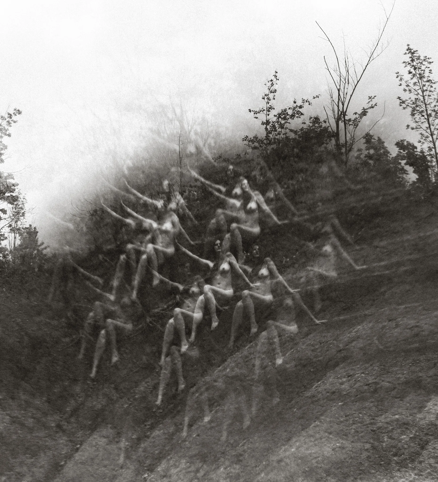 0J9A1900.jpg