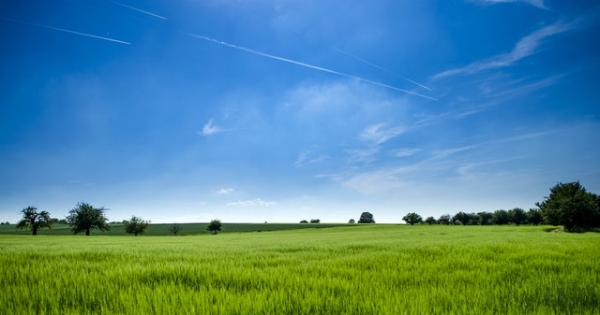 The nature of the land on which you’ll be building your custom home is key