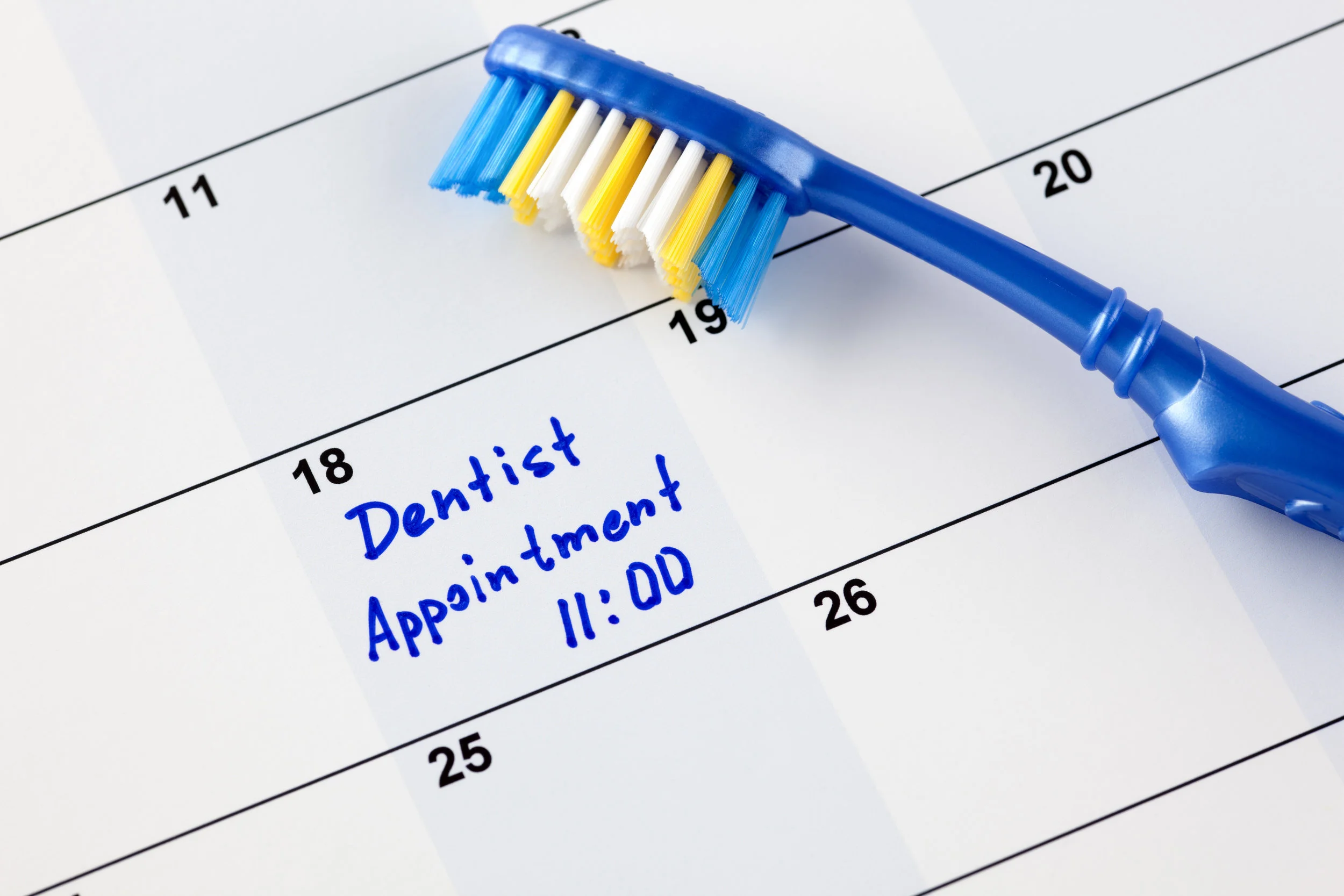 iStock-505498068.jpg