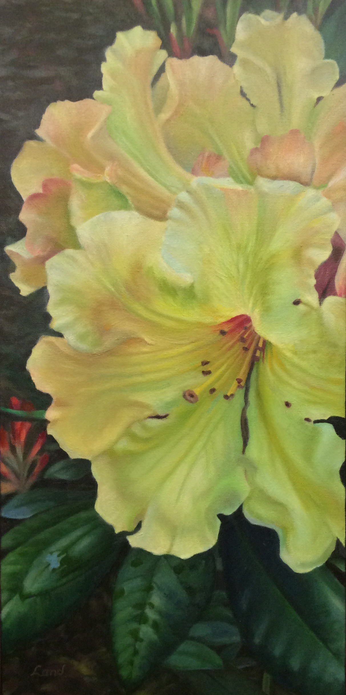 Yellow Rhododendron in oil, 2017