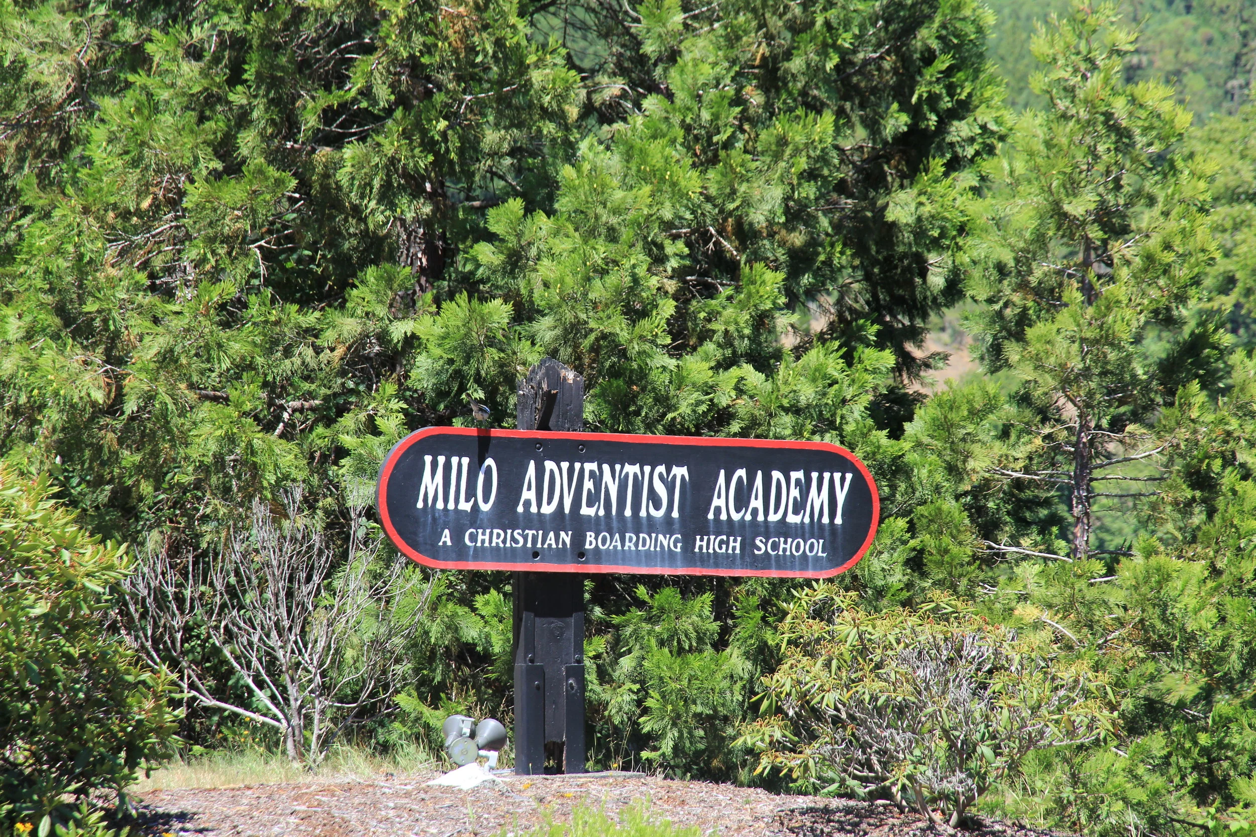 IMG_0005.JPG