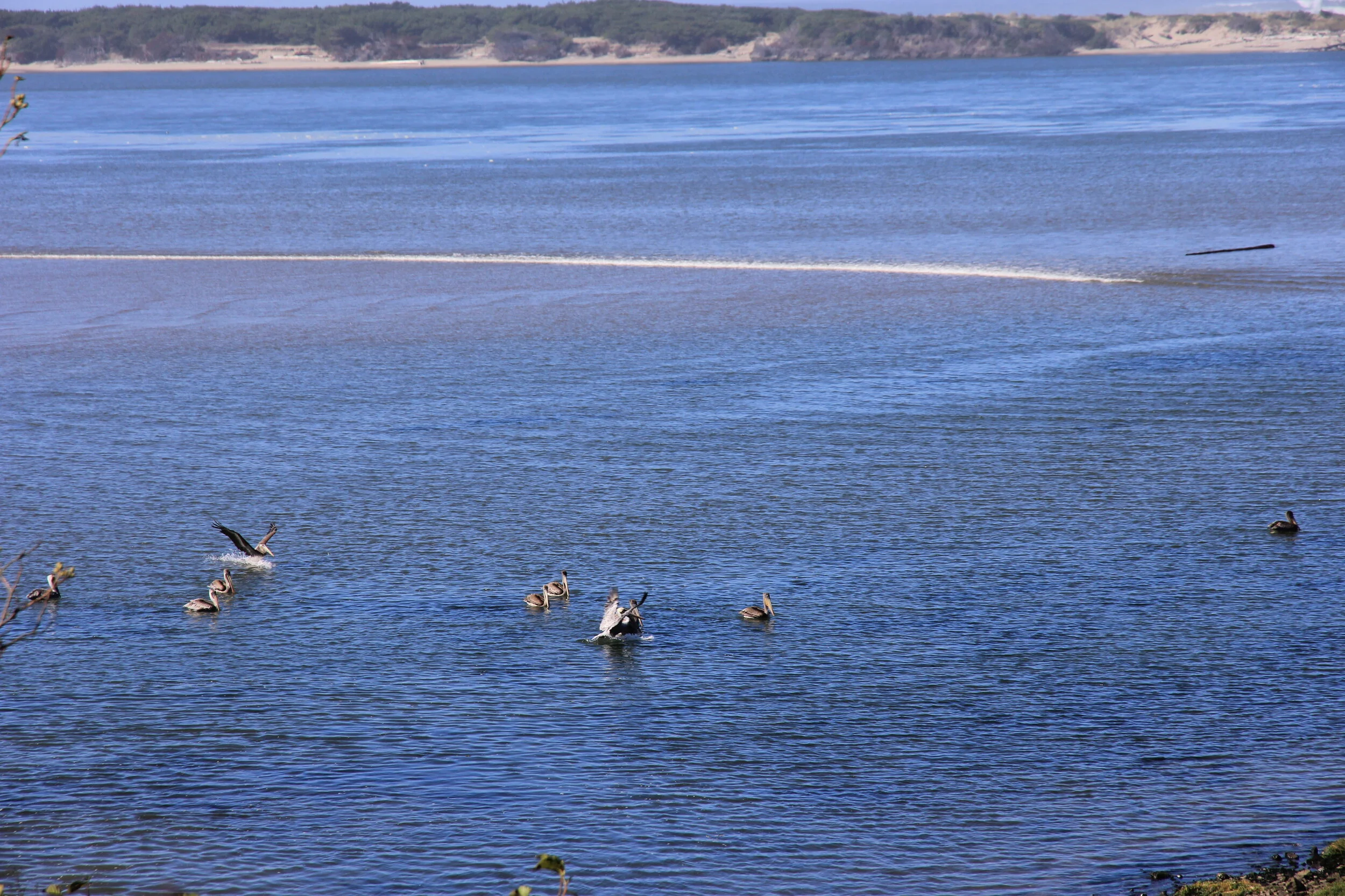 IMG_3180.JPG
