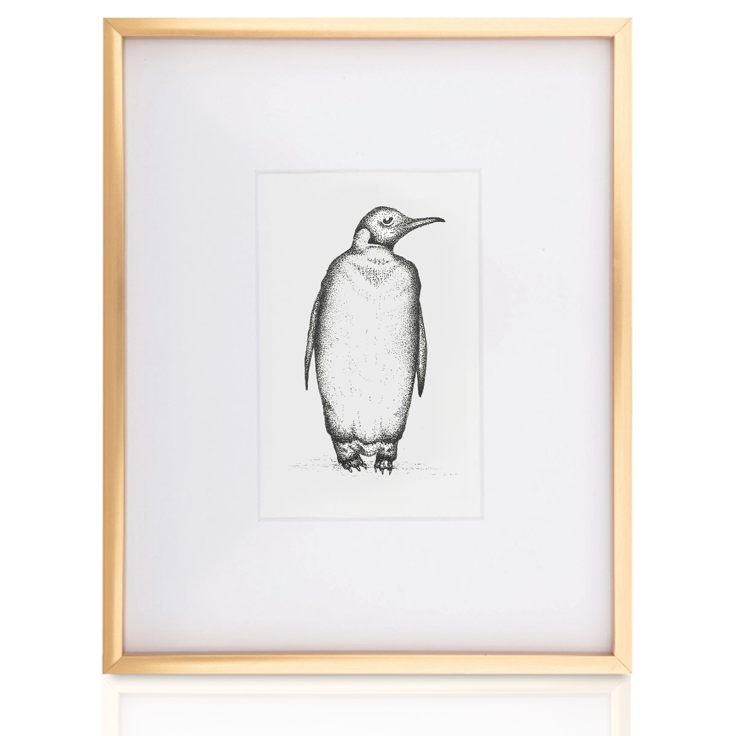Flightless-Bird-Framed.png