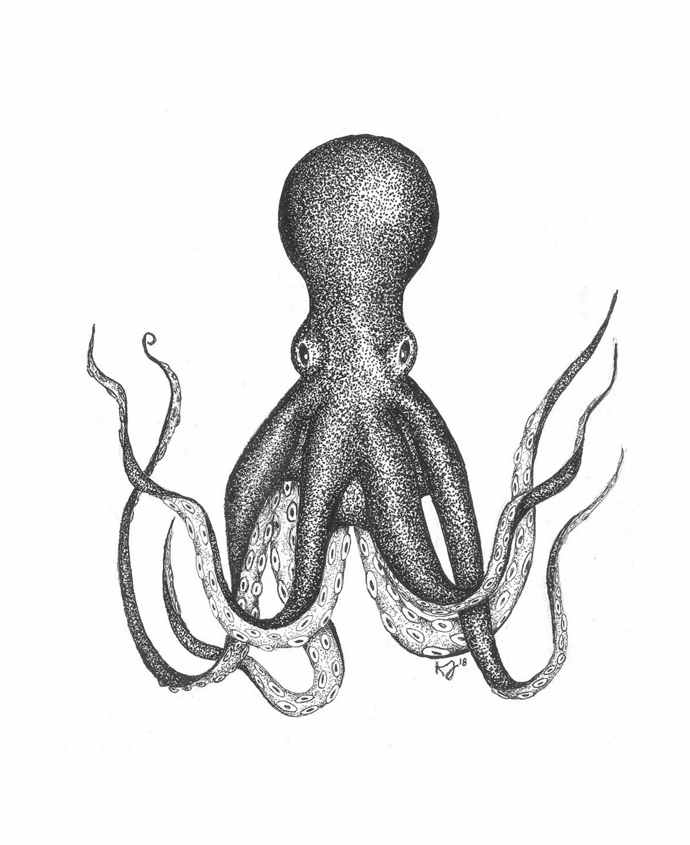 Octopus+copy.jpg