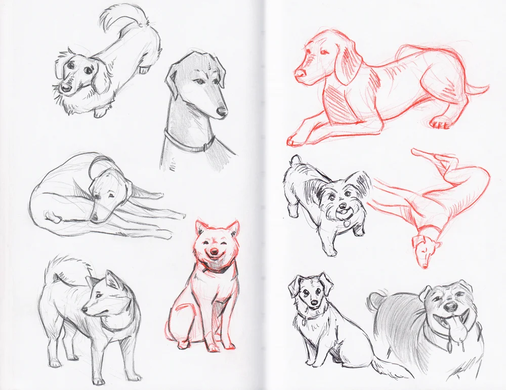 dog-sketches-may2017.jpg