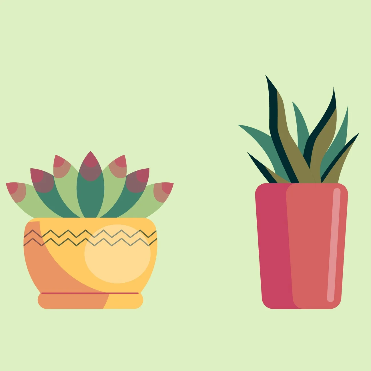 plants.jpg