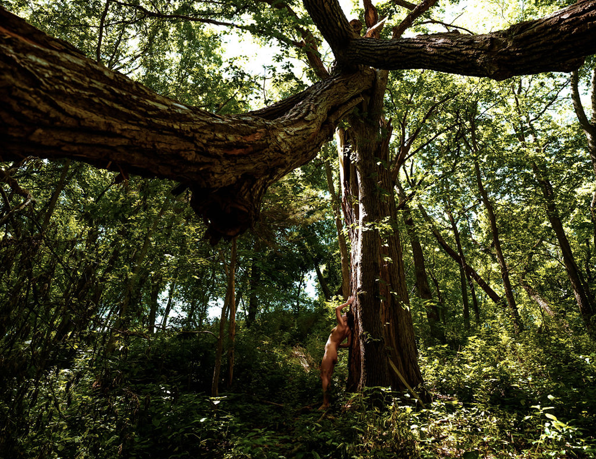 Screenshot 2025-11-05 at 3.21.35 PM.png