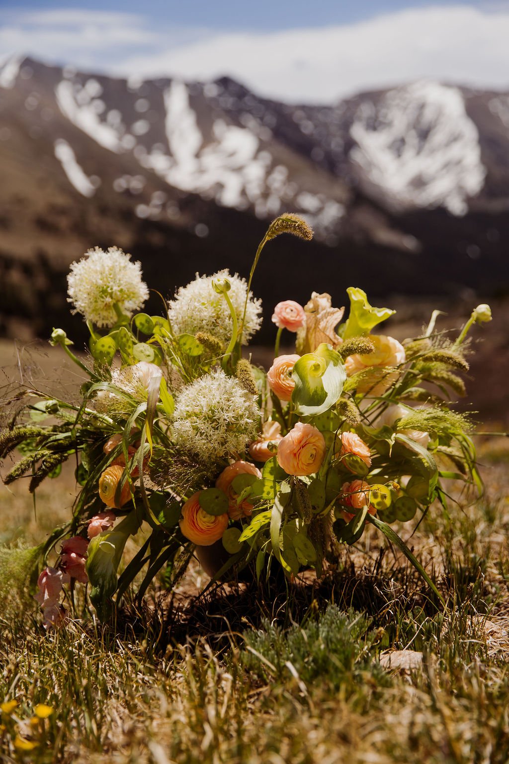 sierra-branding(149of159).jpg