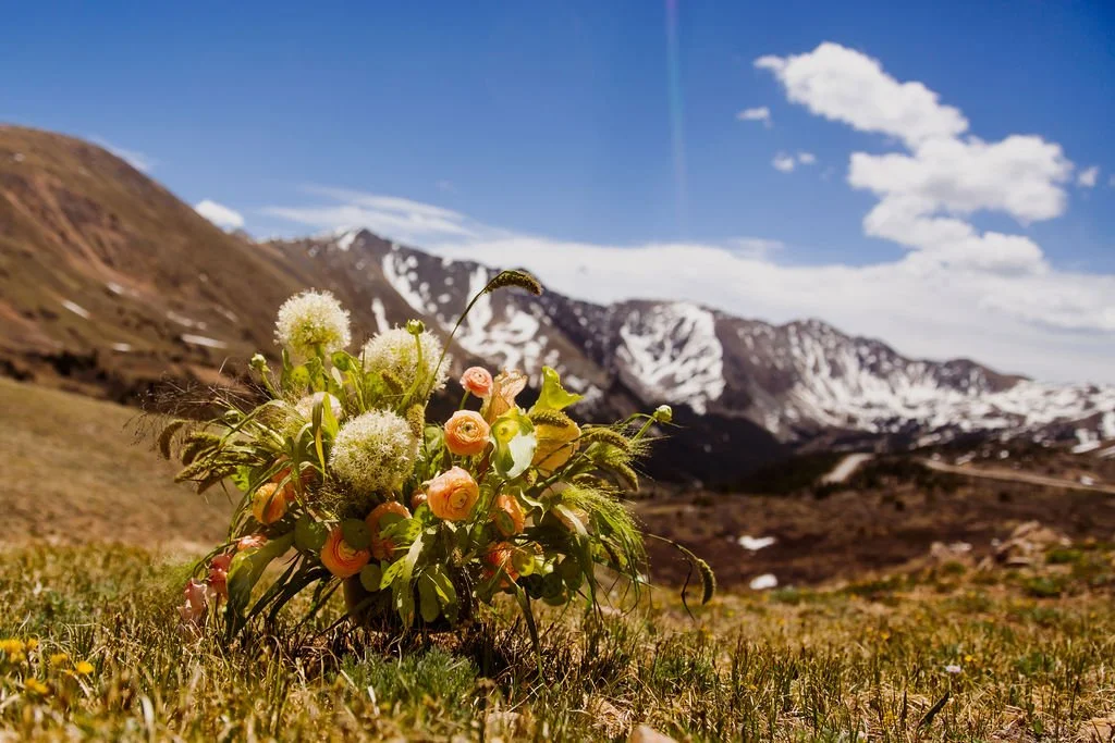 sierra-branding(150of159).jpg