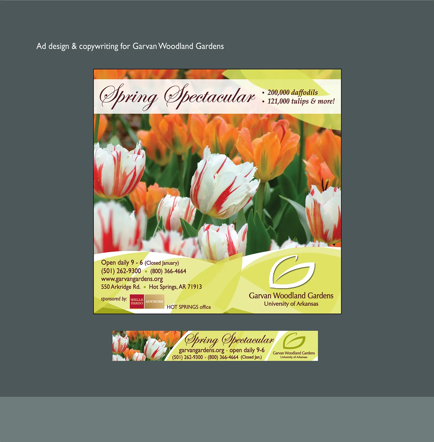 justusdesignwebpageCC12-16fltsm.jpg