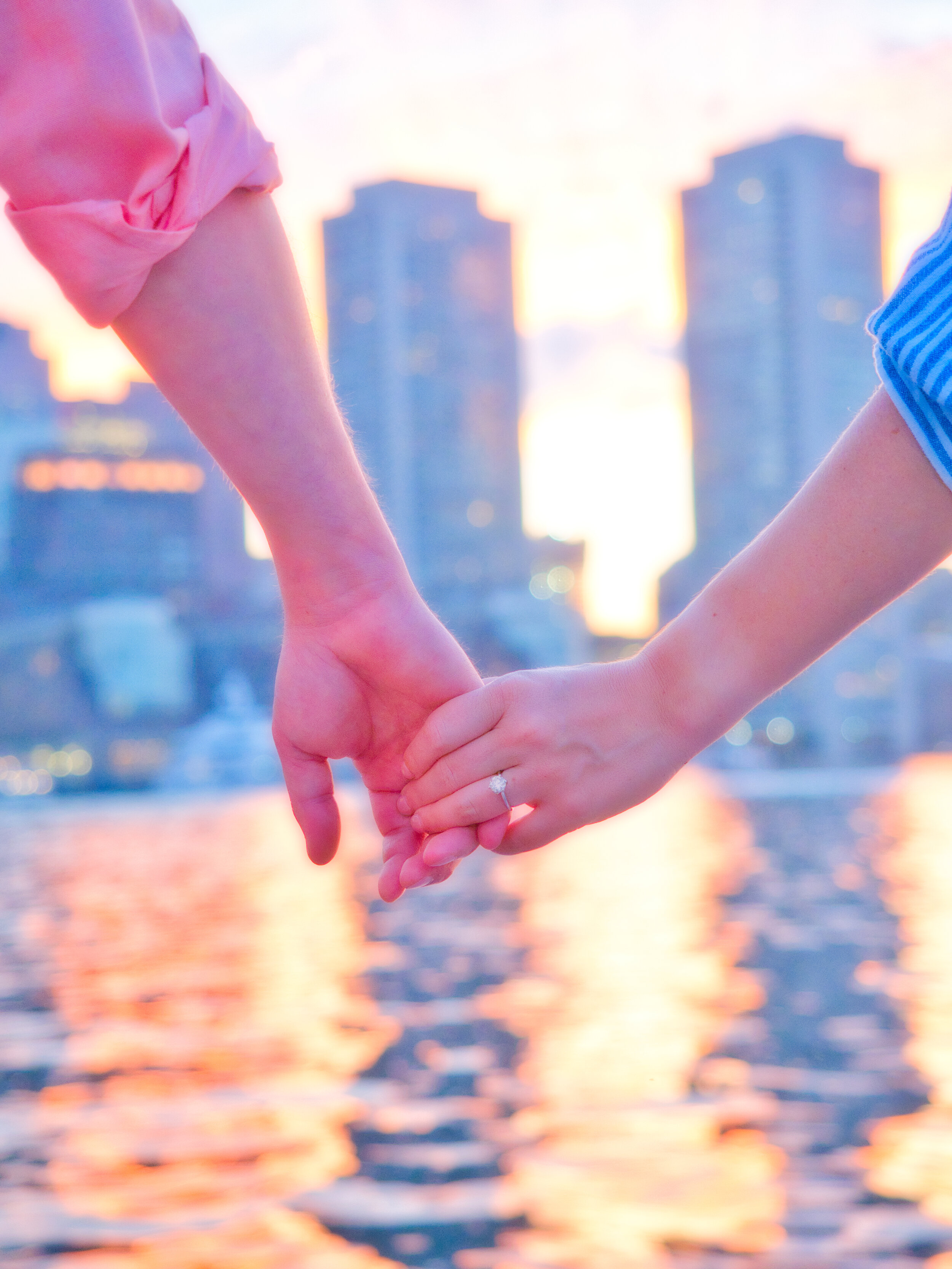 P6273827 bright.jpeg