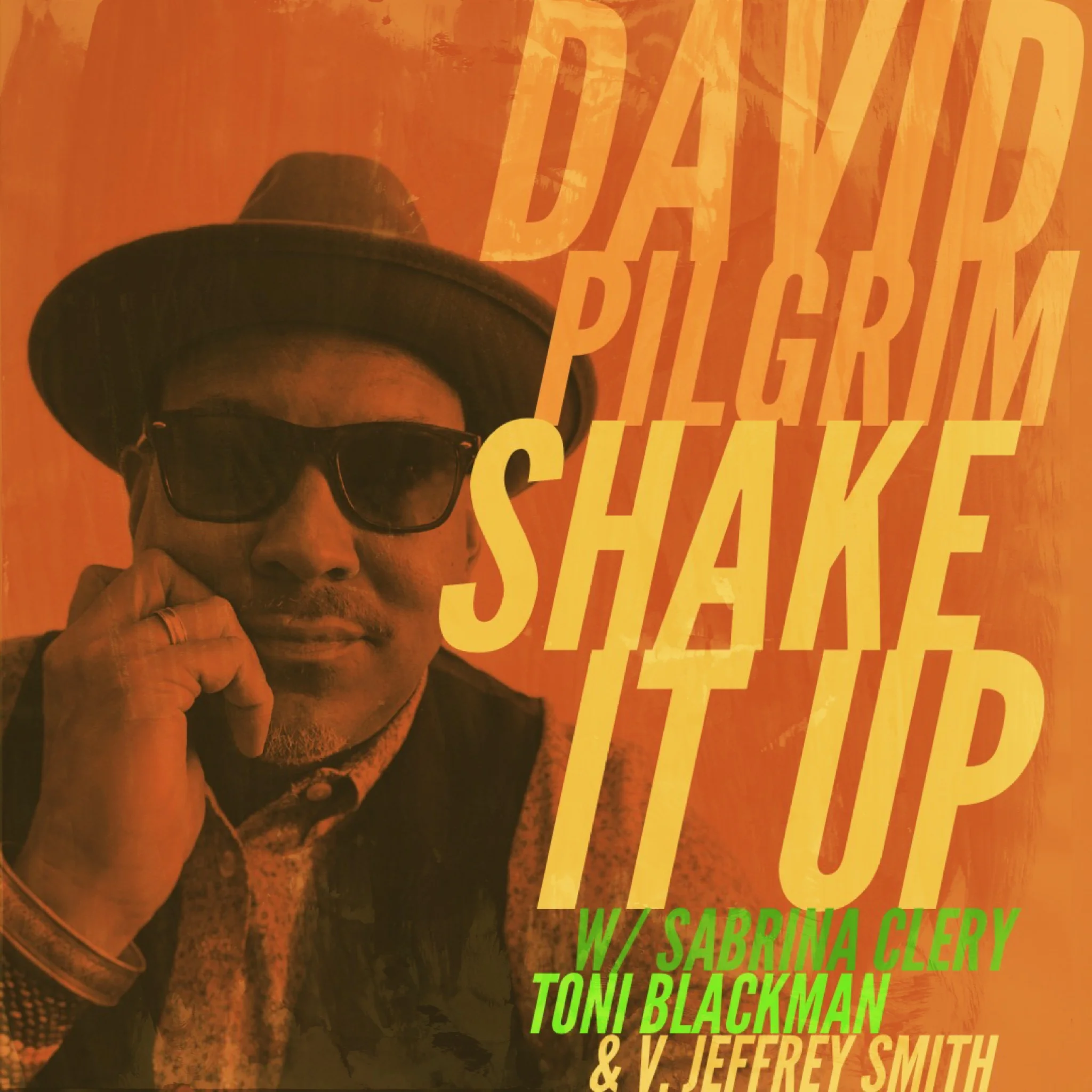 David Pilgrim-Shake It Up.jpeg