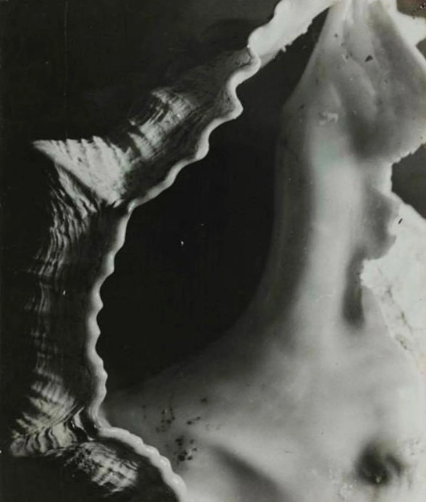 Salvador Dal&iacute; via @skalpa_blanchard