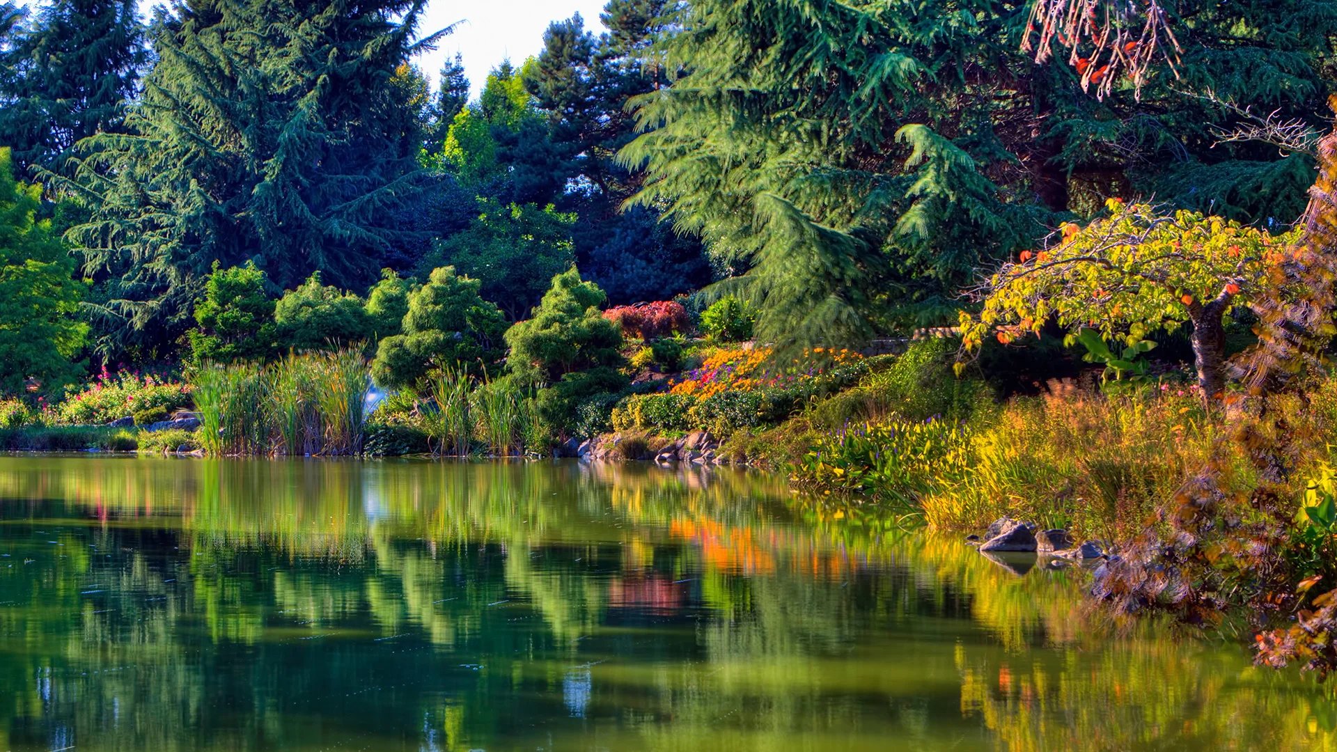 Minoru Lake, 2012 