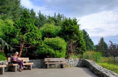 Viewing area for Lakes