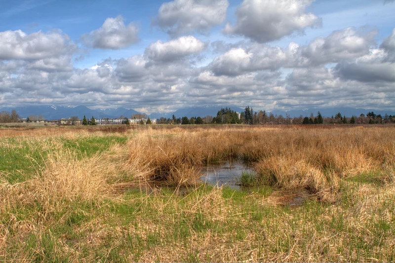 Garden City Lands - under development