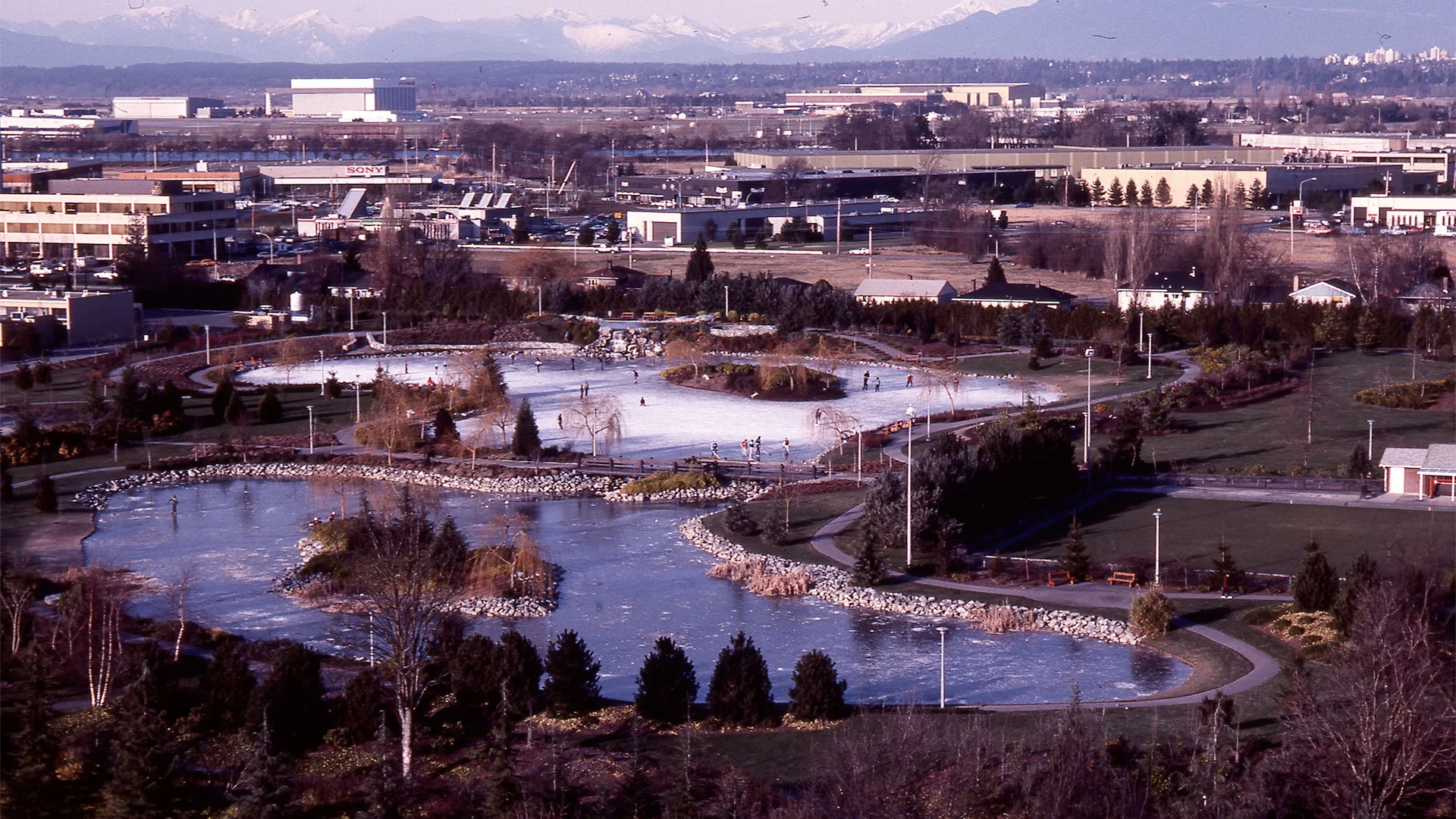  Planted material continues maturation and an Arctic blast freezes the Lake making it a perfect outdoor skating surface. 