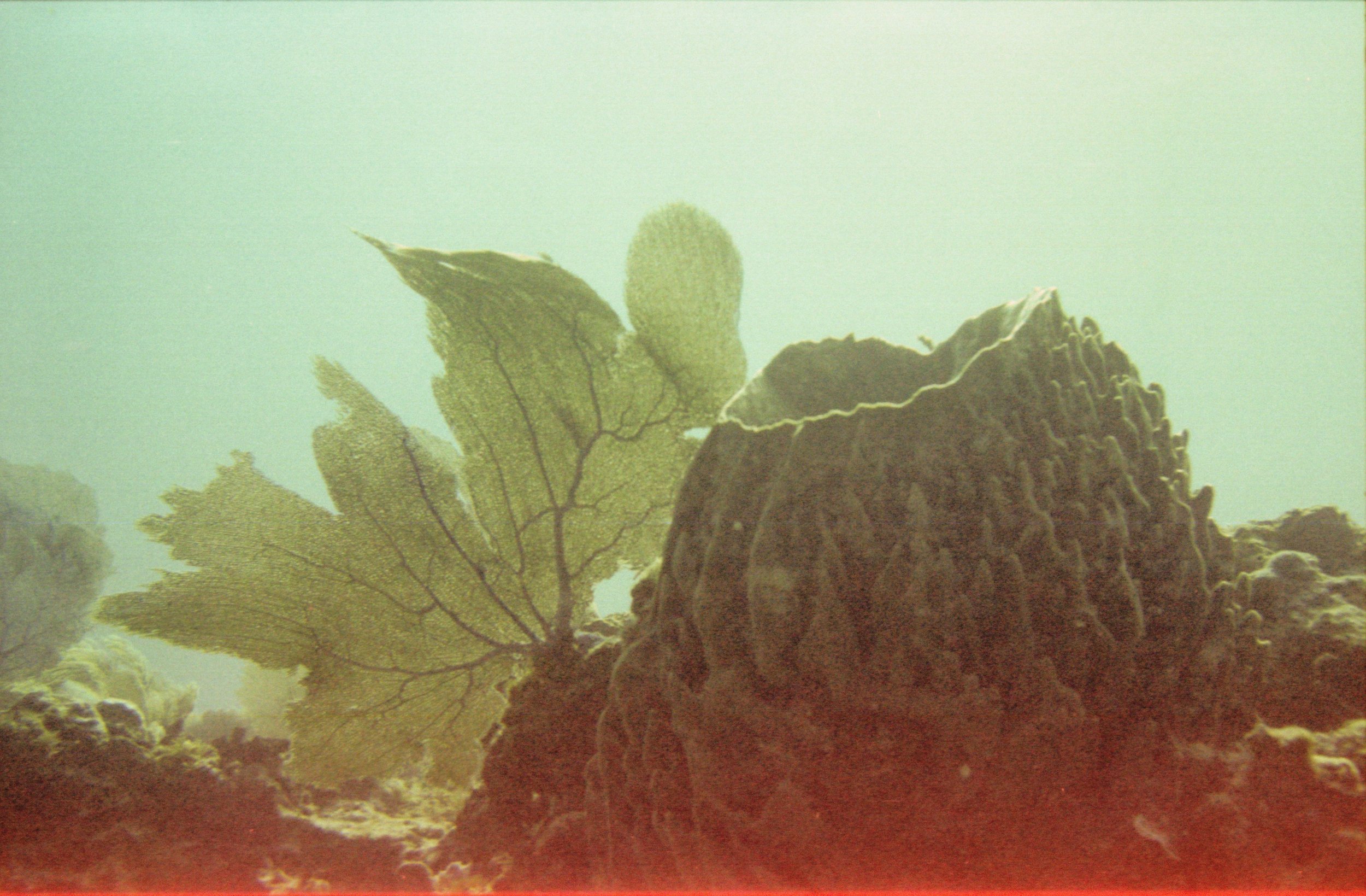 portra003.jpg