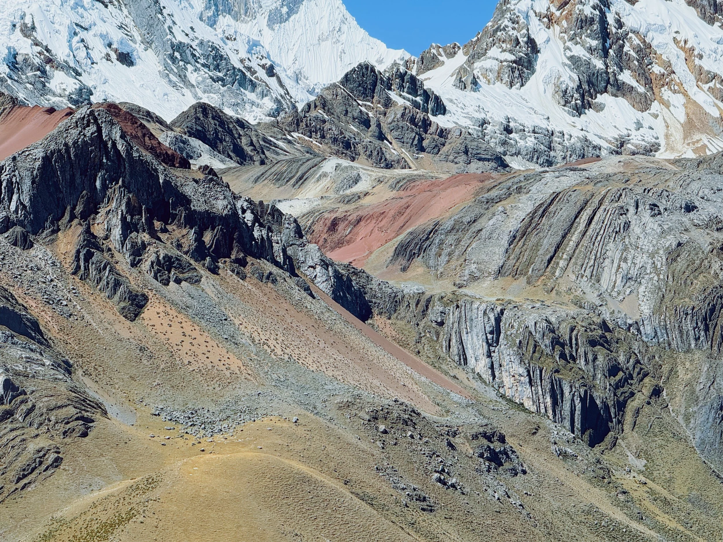 B8E7C9B3-7964-4231-A719-E7705D1D9088.JPG