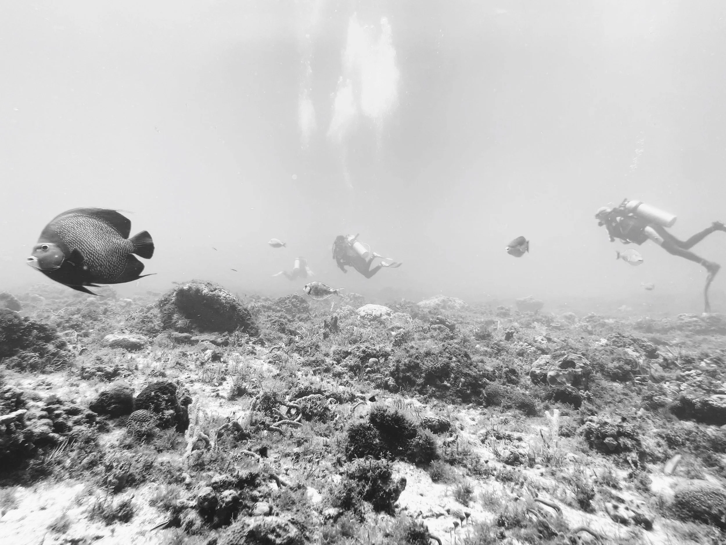 19AAC5D2-E7AE-4D98-8FA5-C9625C914EF2.jpg