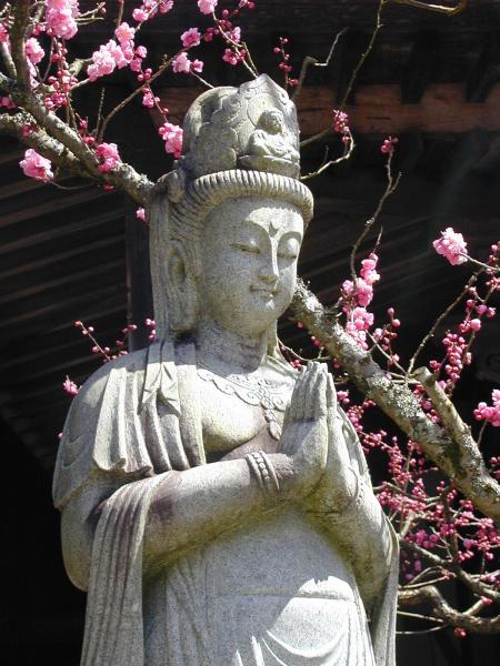 Kuan Yin, Tibetan Buddhist Goddess of Compassion