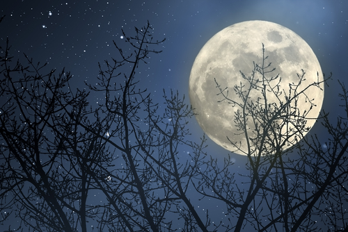 shutterstock_377516929.jpg