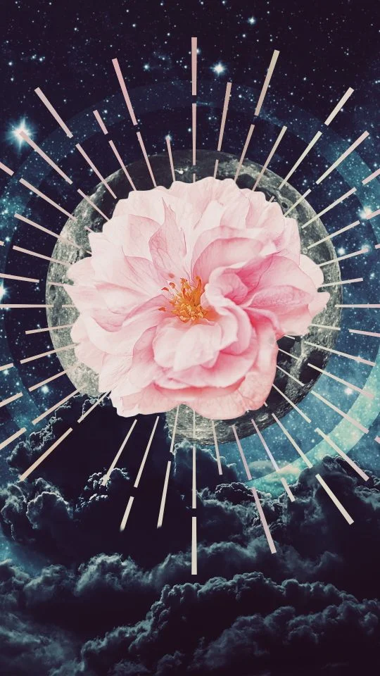 art by misch elizabeth