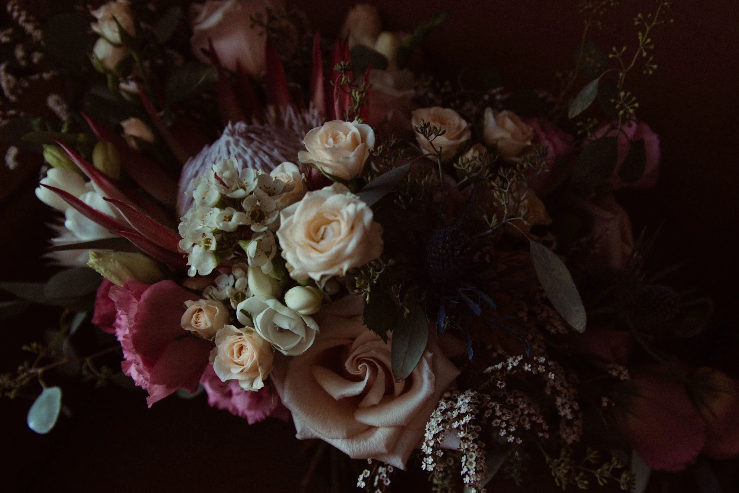 untitled-38.jpg