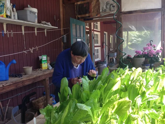 Rooted in Family Support: Aging in Place with Technology