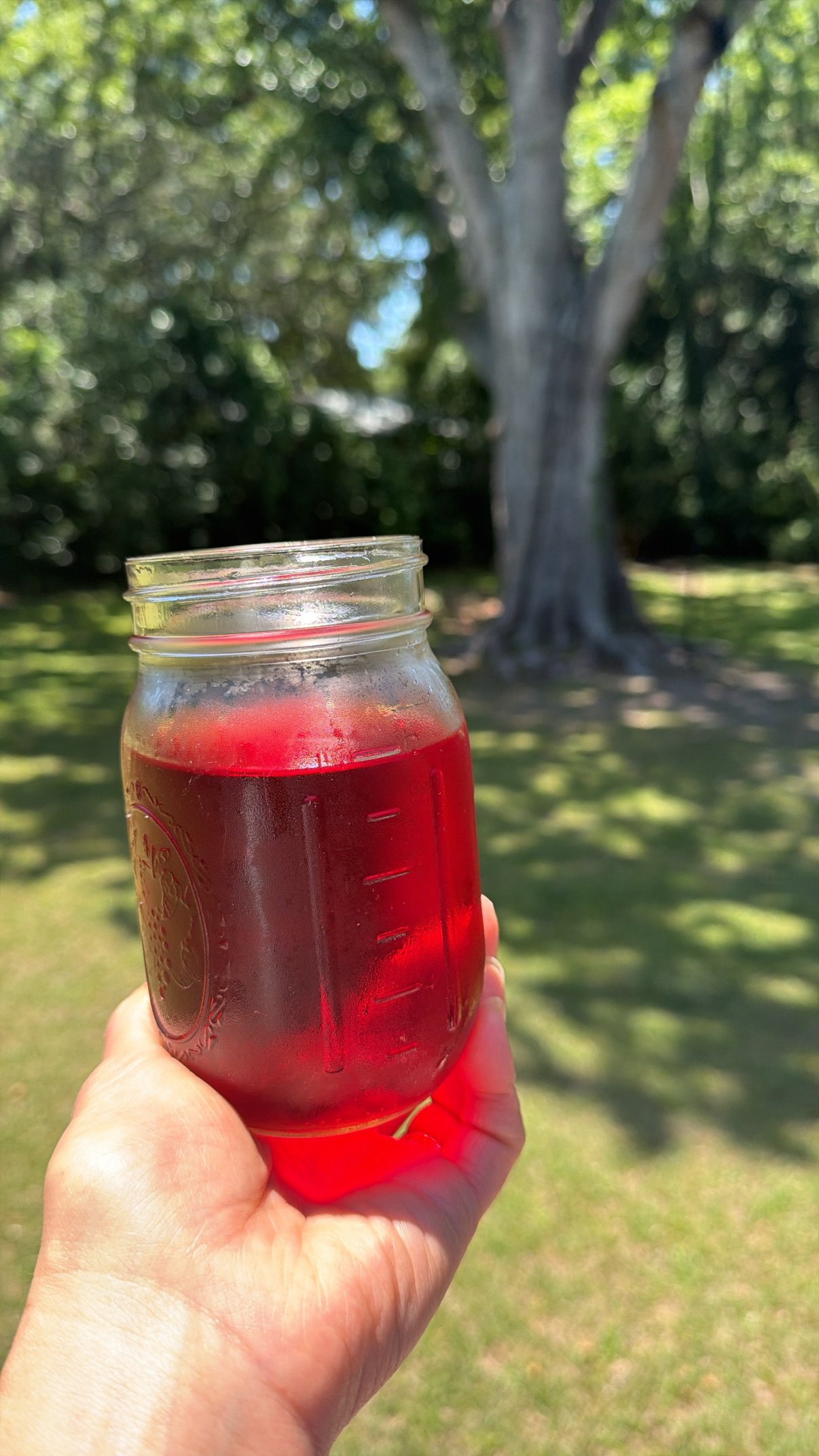 Mineral Glow Herbal Infusion