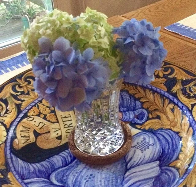 Study in yellow and blue