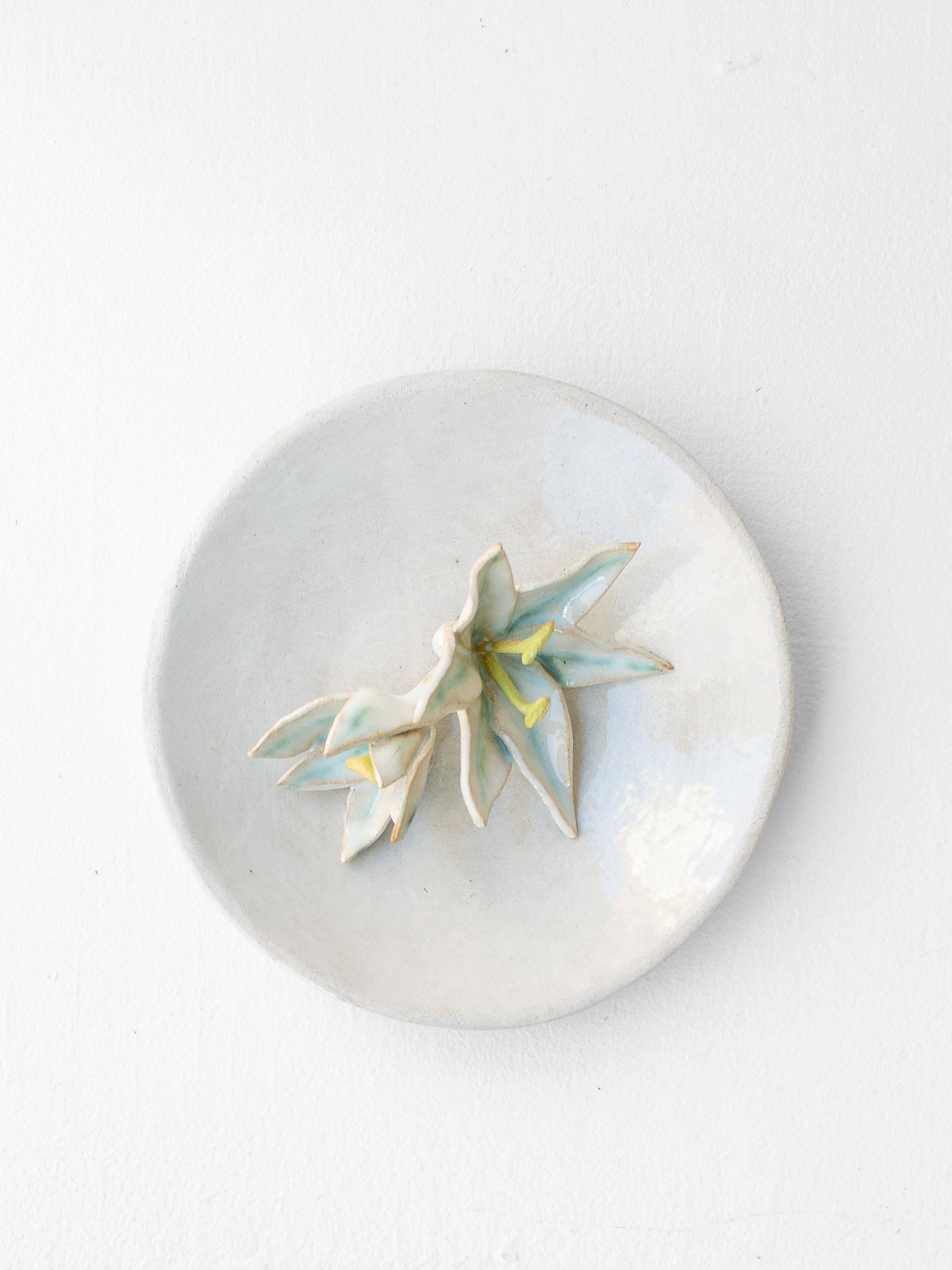 lily plate (above).jpg