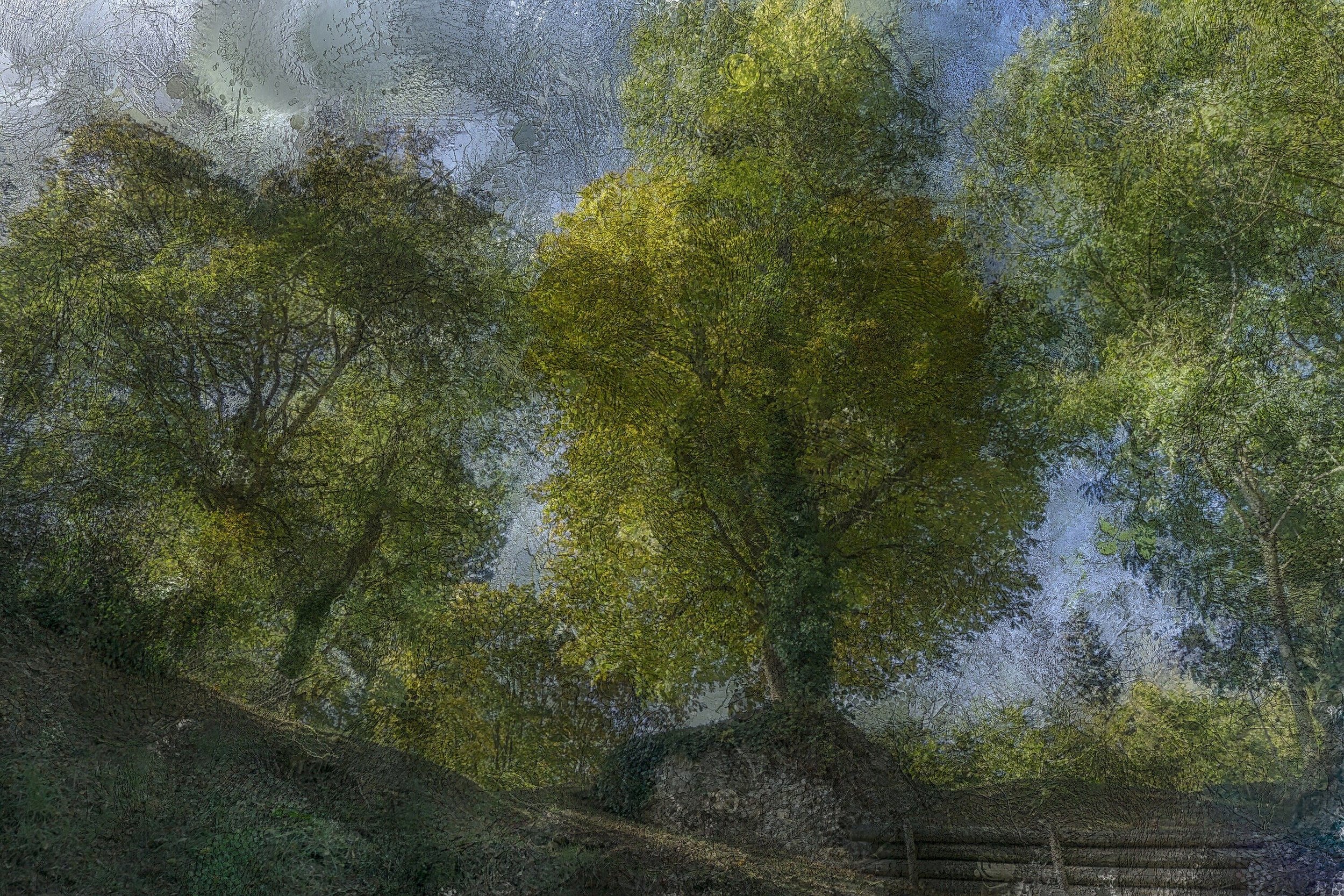 Montfort L'Amaury Woods