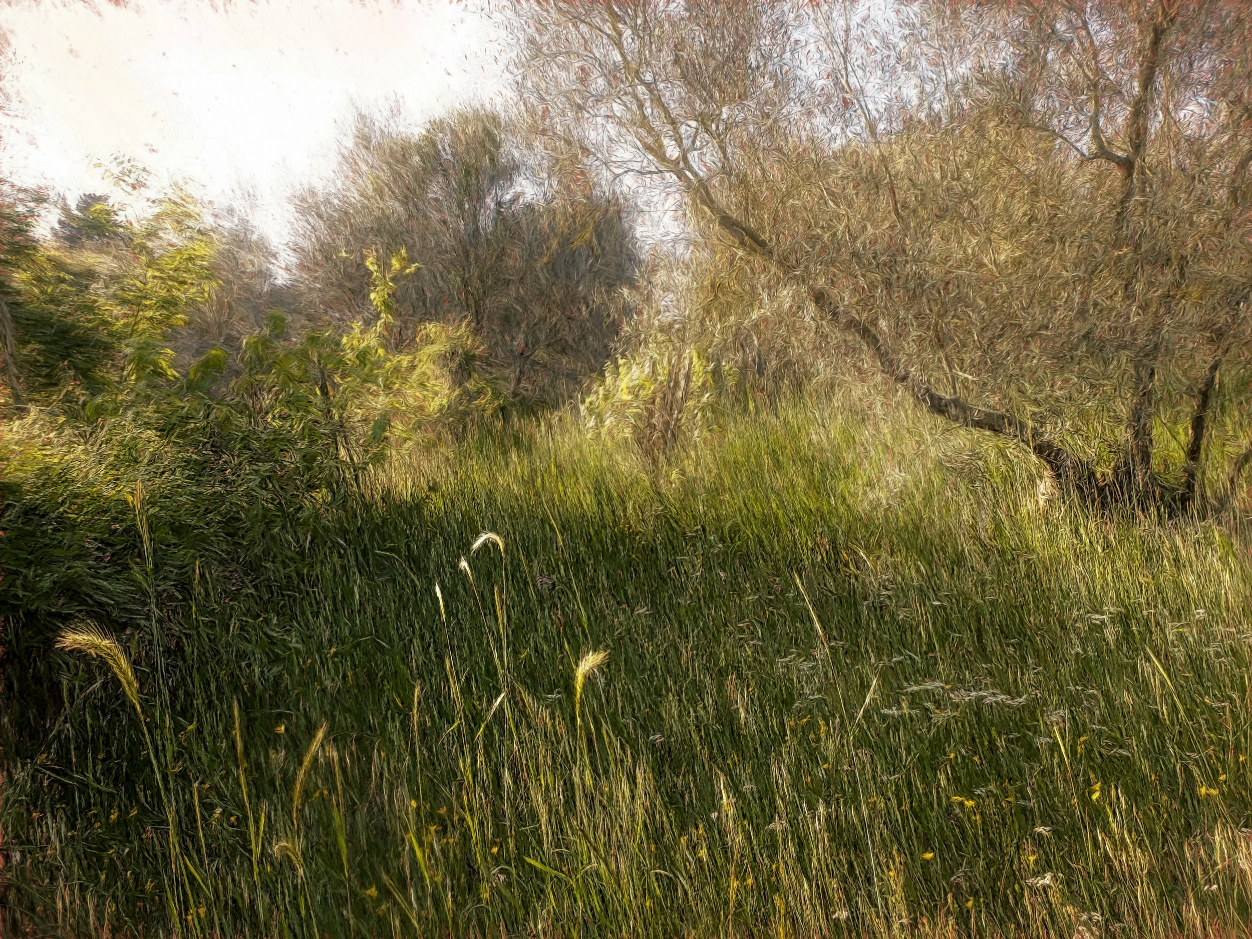 On a sunny Sunday afternoon