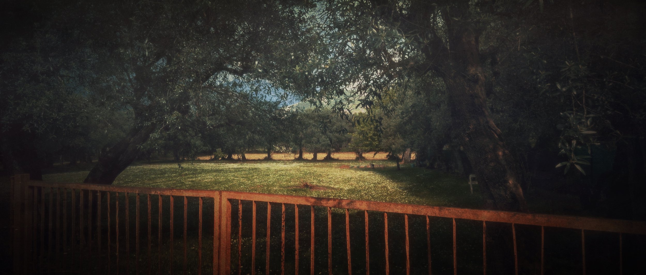 The Season Before the Invasion