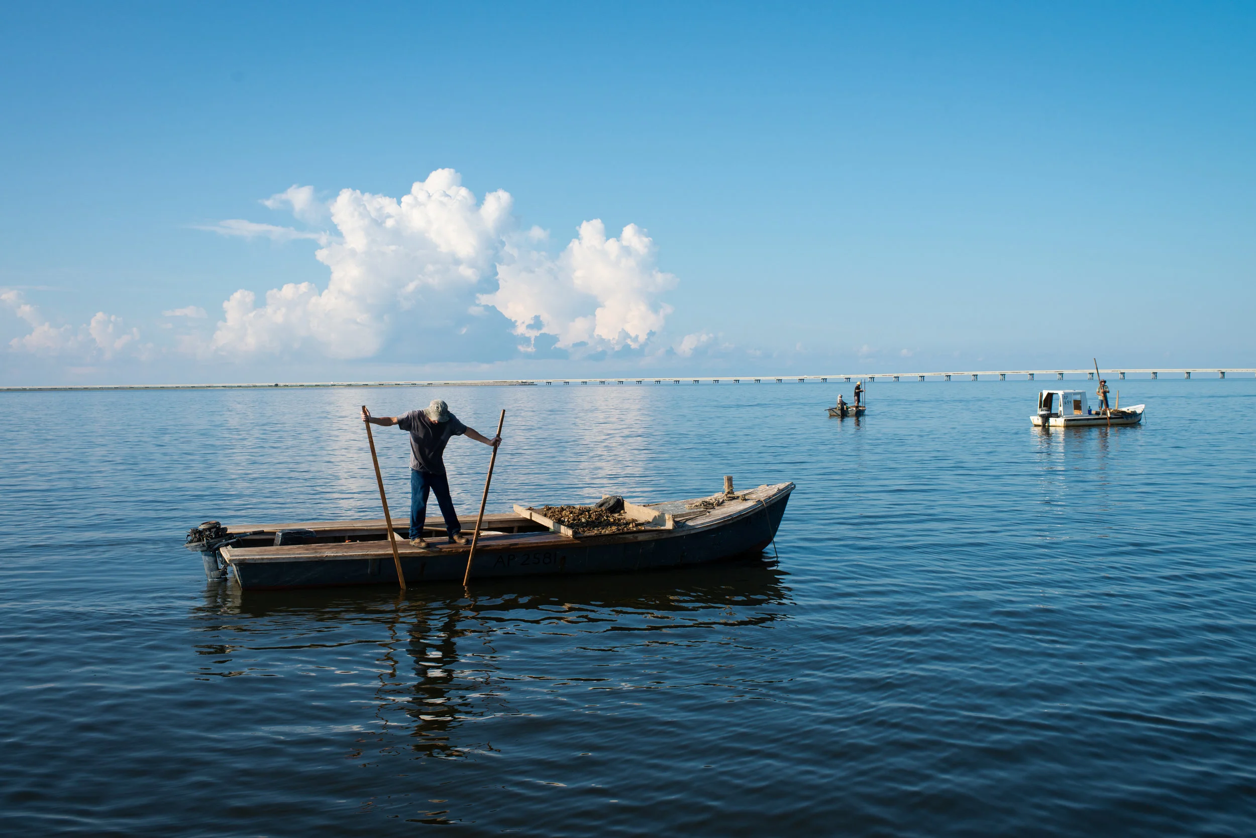 An oysterman tongs the bottom of the Apalachicola Bay. The bay has been divided into different ‘beds’ which are open and closed to allow for the bay to replenish. Typically when a new bed opens there are enough oysters that men working the bed can easily reach the two bag limit imposed by the state. This bed, the winter bank, opened a little over two weeks before this picture was take and few, if any, oystermen were able to make their legal limit.