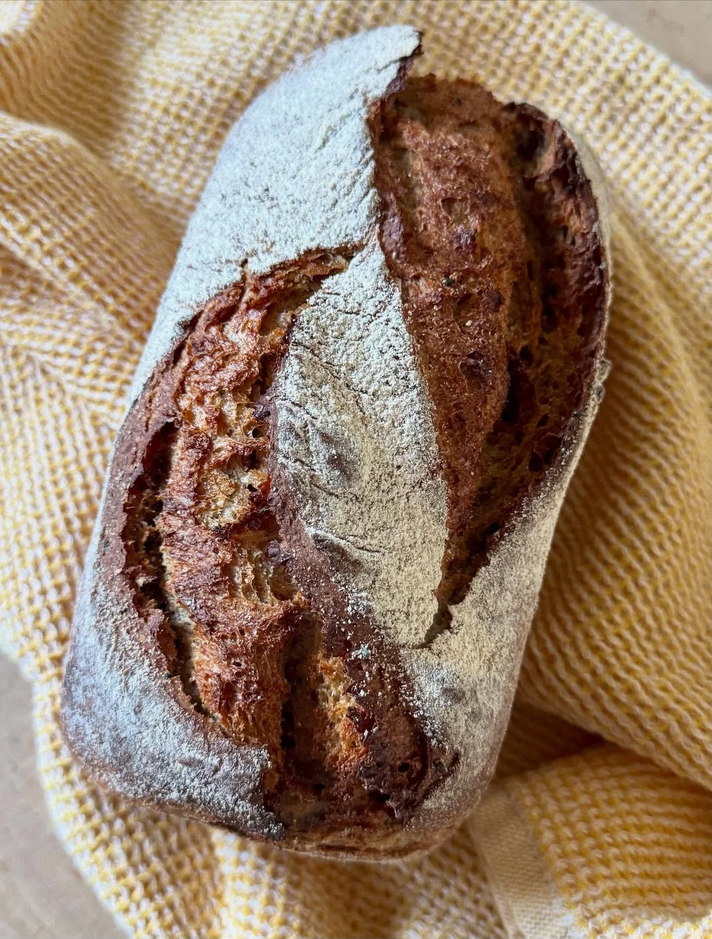 We are at PSU tomorrow and we&rsquo;re looking forward to another beautiful market day. Here&rsquo;s the bread list: 🌾Purple Karma Barley, 🌾Einkorn Pepita, 🌾Walnut Red Fife, 🌾Red Fife Raisin Cardamom, 🌾Deli Rye