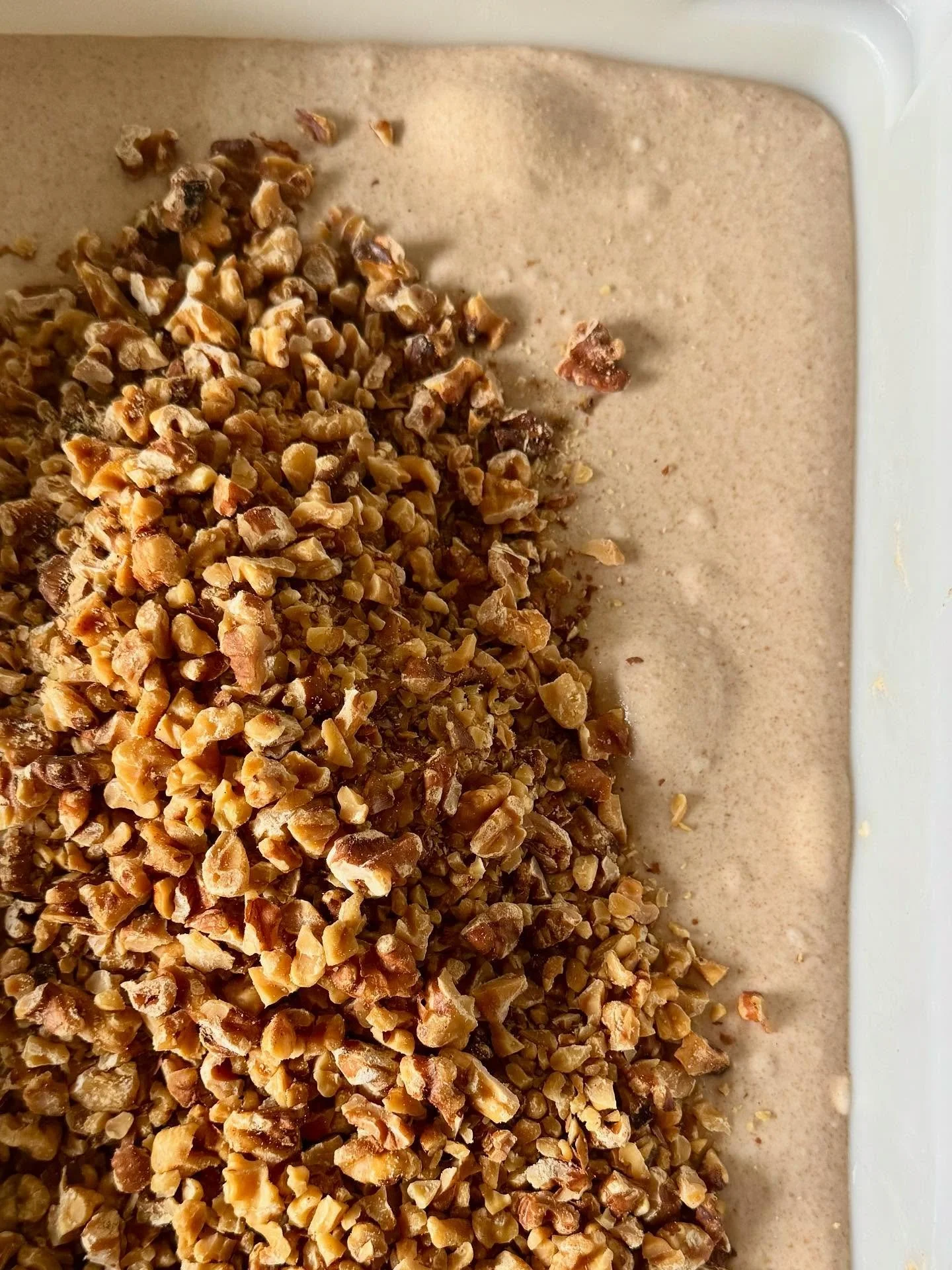 The moment of becoming walnut bread. Tomorrow we are at PSU from 9am until 2pm. Here's the bread menu: 🌾Purple Karma Barley, 🌾Einkorn Pepita, 🌾Walnut Red Fife,🌾 Seeded Buckwheat (Wheat Free) 🌾Deli Rye. If you'd like me to set bread aside, it's b