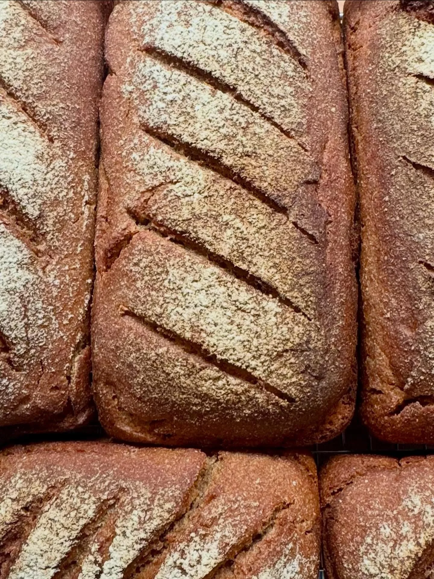 100% whole grain rue (Volkornbrot). We are at Hollywood Farmers Market tomorrow and here's the bread menu: 🌾Purple Karma Barley, 🌾Einkorn Pepita, 🌾Walnut Red Fife, 🌾 Volkornbrot, 🌾 Seeded Buckwheat (Wheat Free).