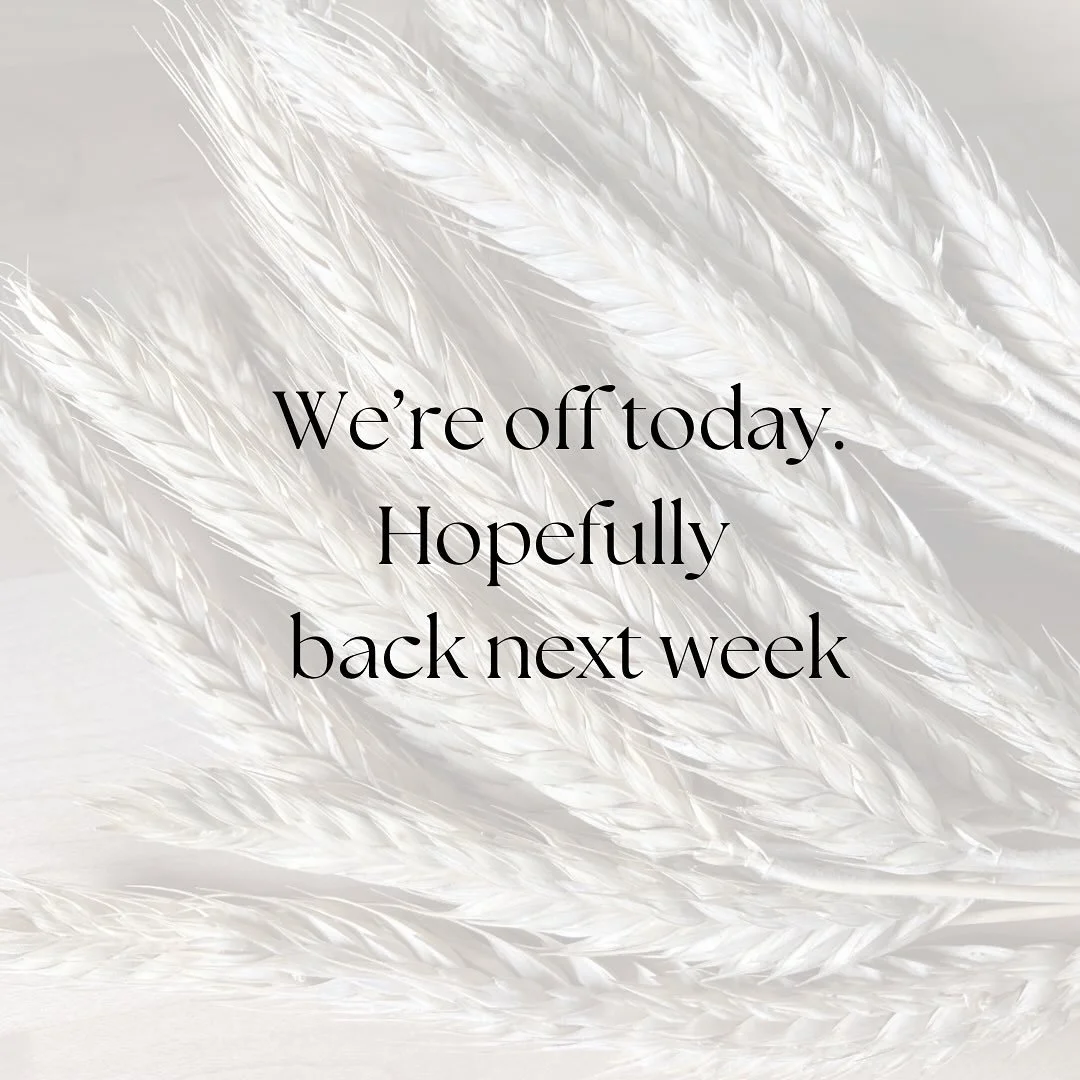 Hey hey! Just a reminder: We won't be at PSU today, unfortunately. I'm still recovering from surgery, but the hope is that we'll be back at Hollywood next week, and at PSU in two weeks. Hope everyone has a lovely weekend.